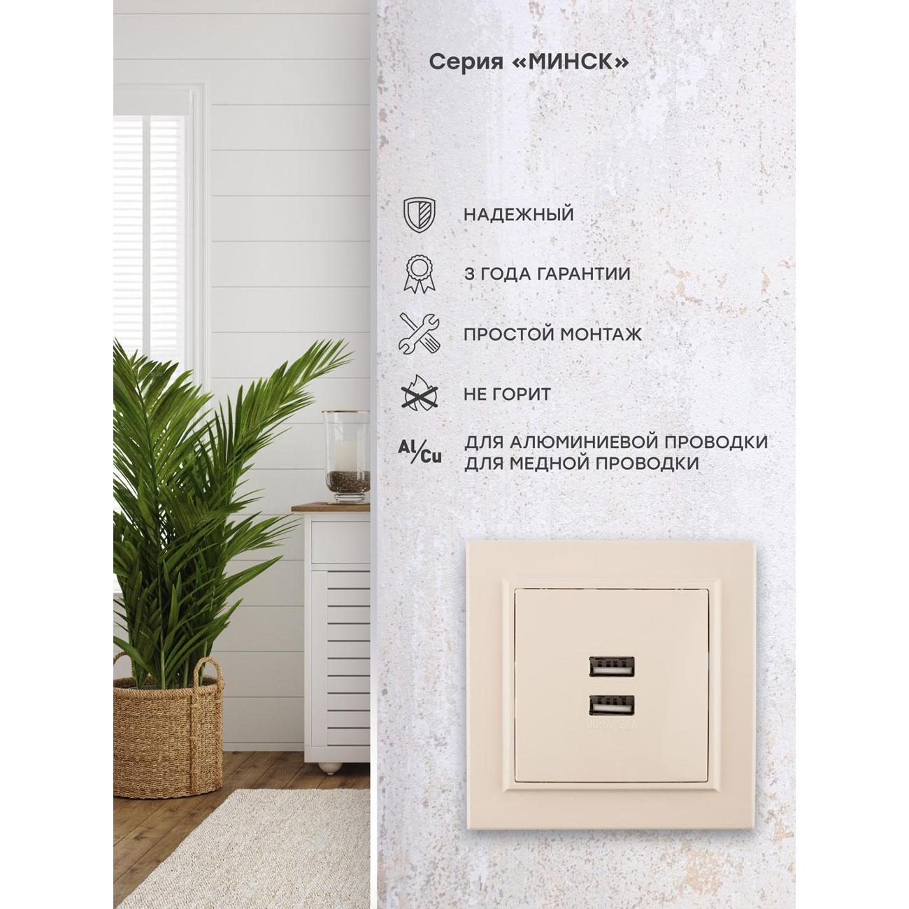 Розетка EKF ERR-2USB-200