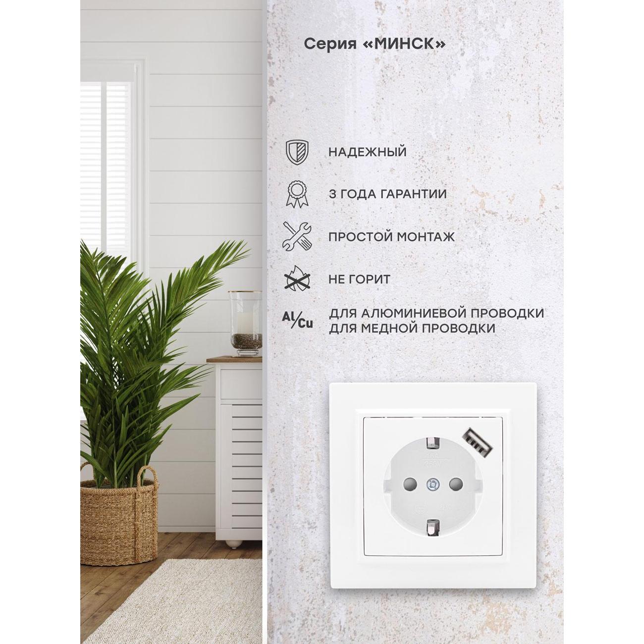 Розетка EKF ERR16-028-100-USB