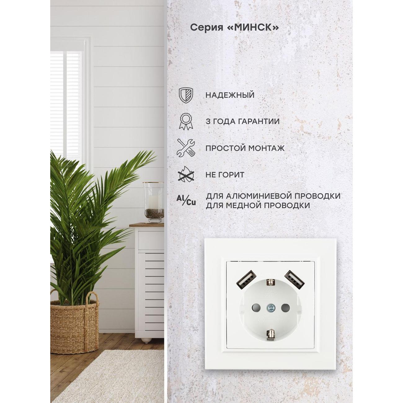 Розетка EKF ERR16-028-100-2USB