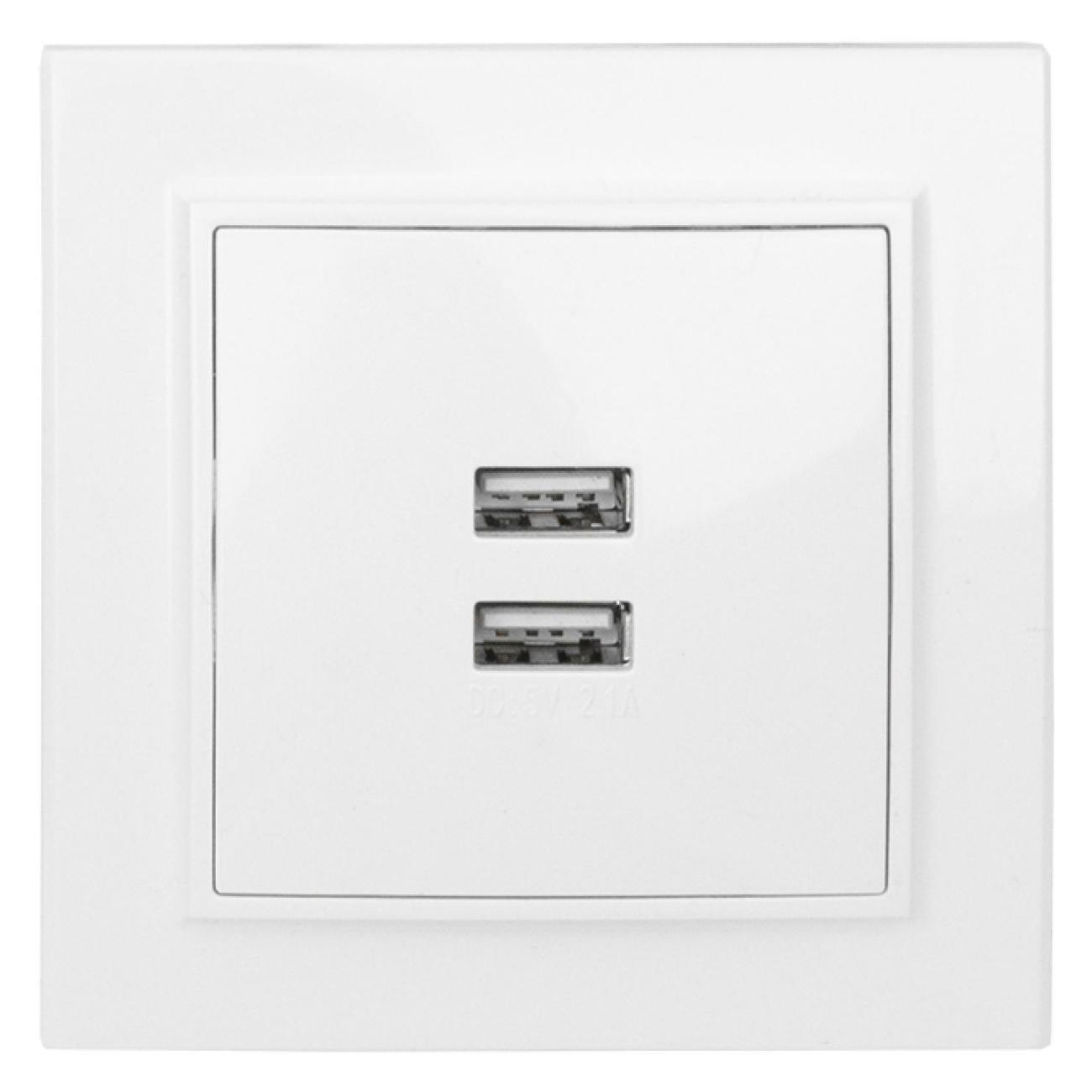 Розетка EKF ERR-2USB-100