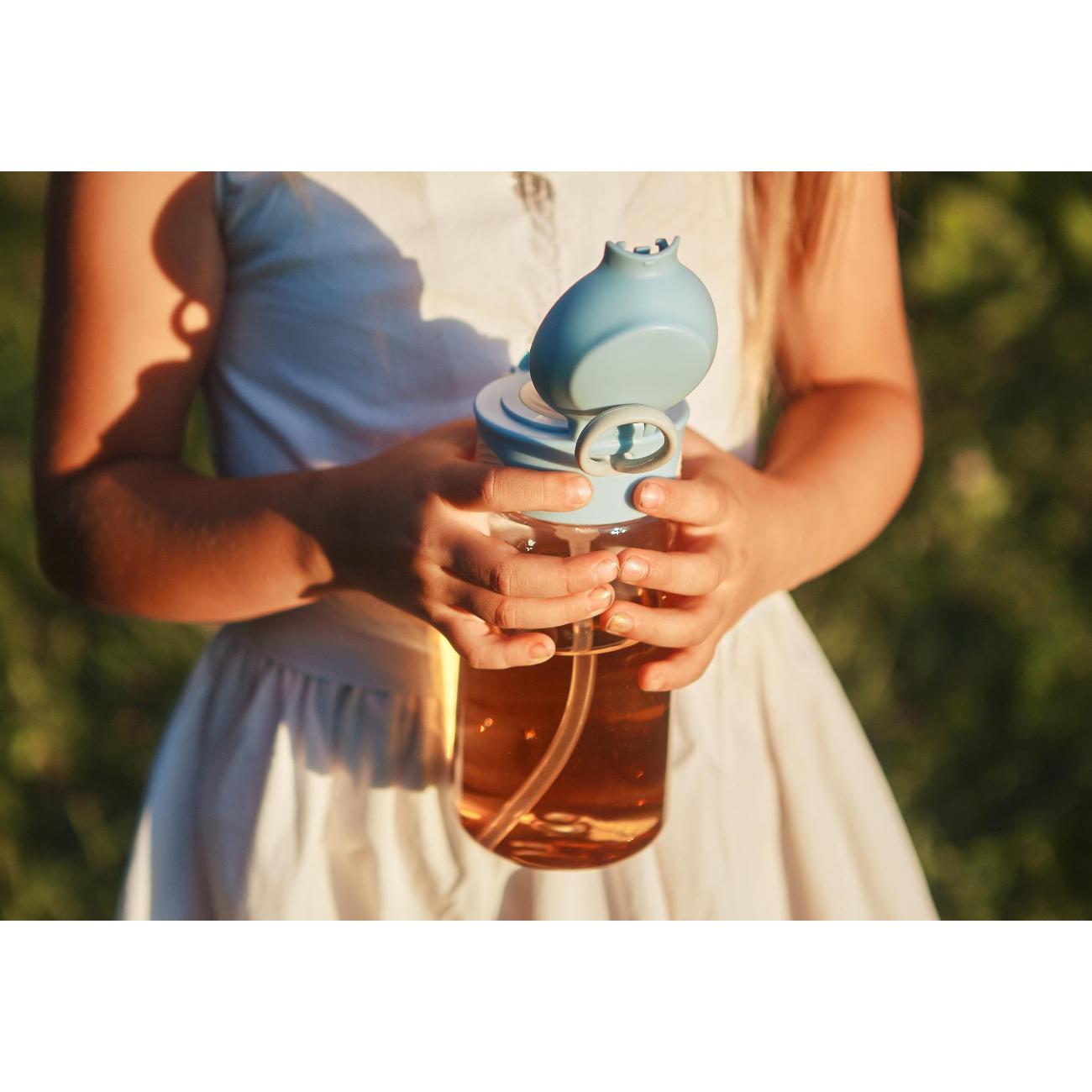 Бутылка Арктика 712-450-BL