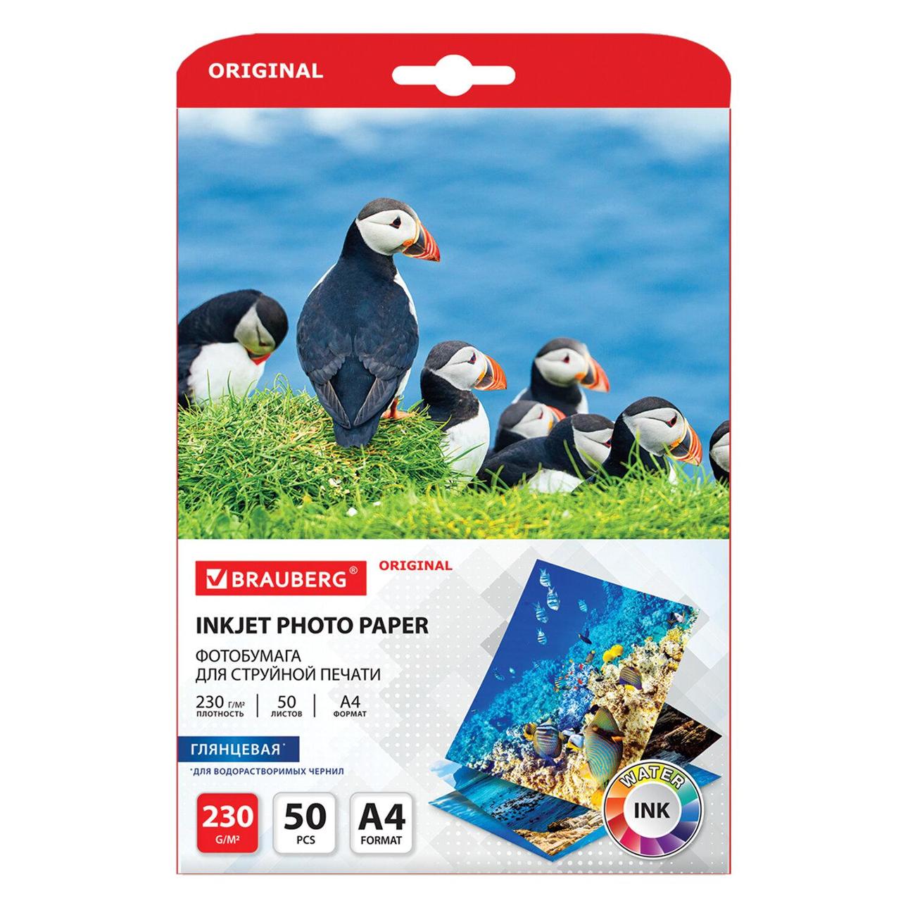 Фотобумага для принтера Brauberg глянцевая А4 230г/м2 50л 363990 фото