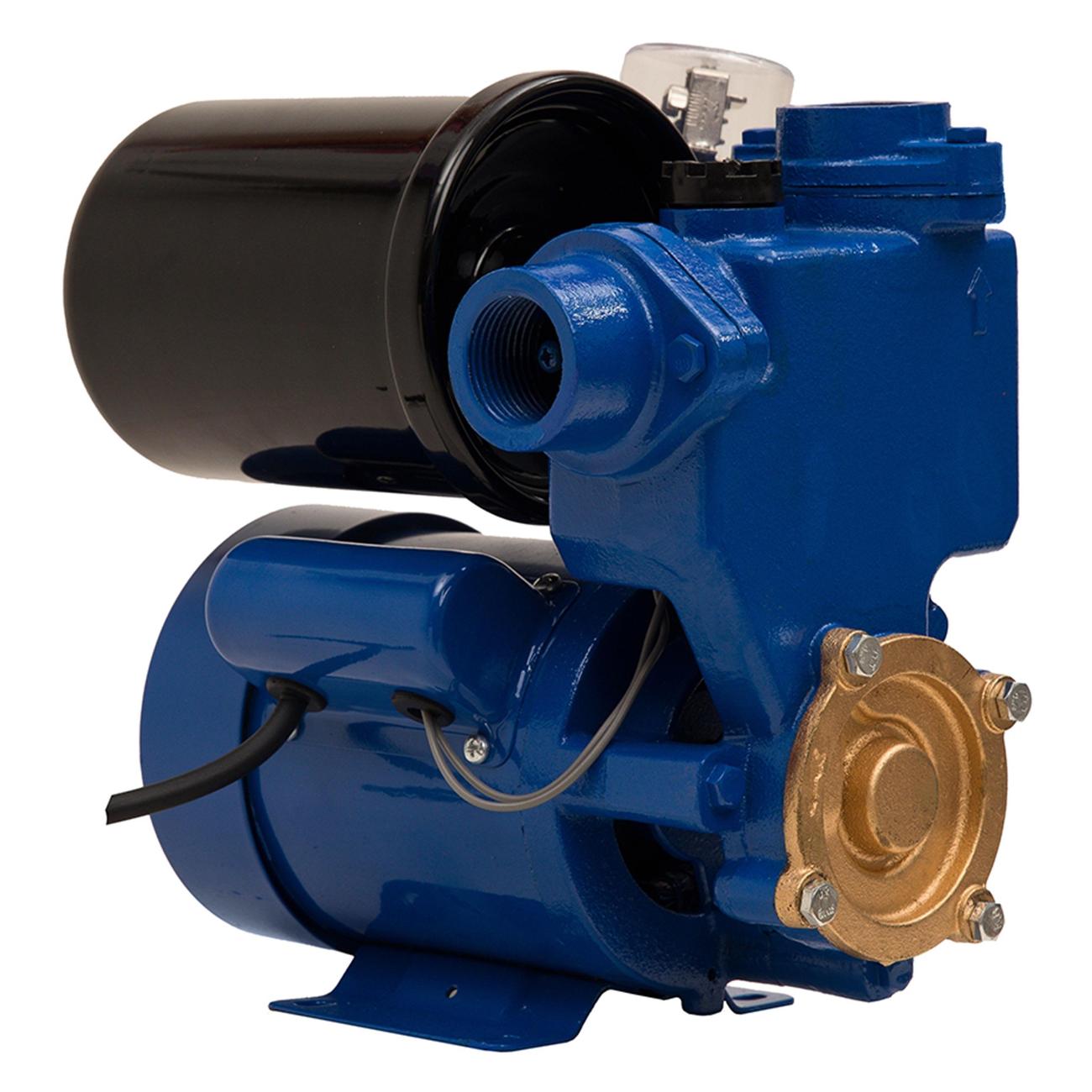 Насосная станция Oasis MS-33/31C-2