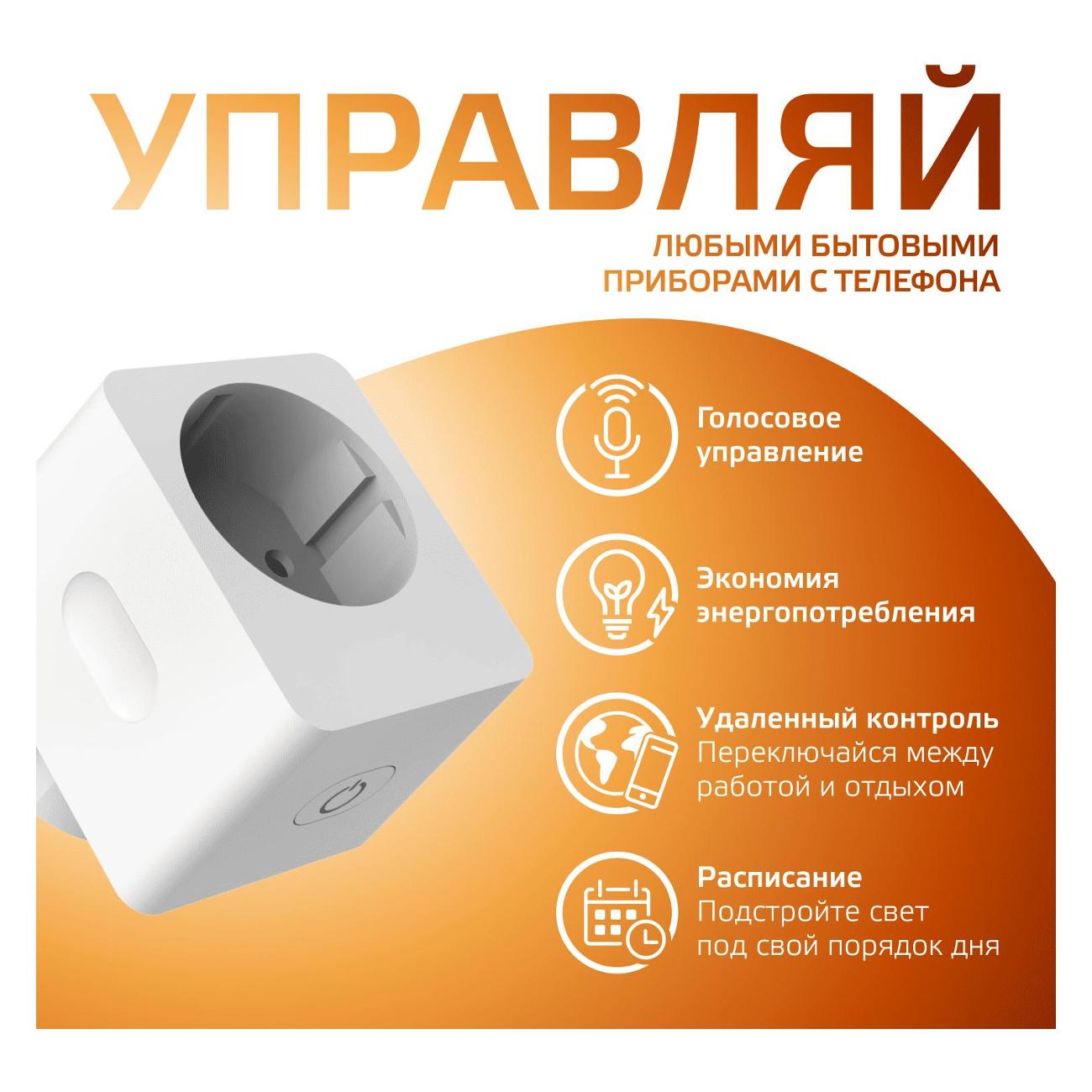 Умная розетка Gauss Smart Home 2300W 207-253V 10А IP20 c/з (5510122)
