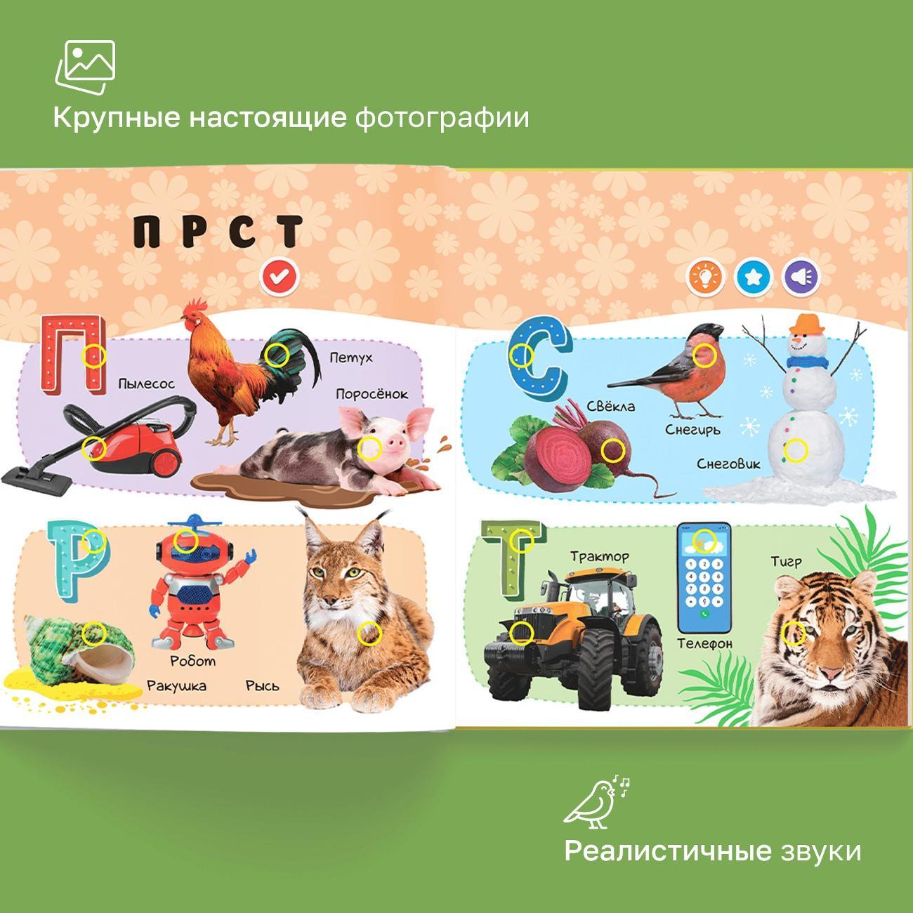 Развивающая игрушка BertToys нажималка Русский алфавит