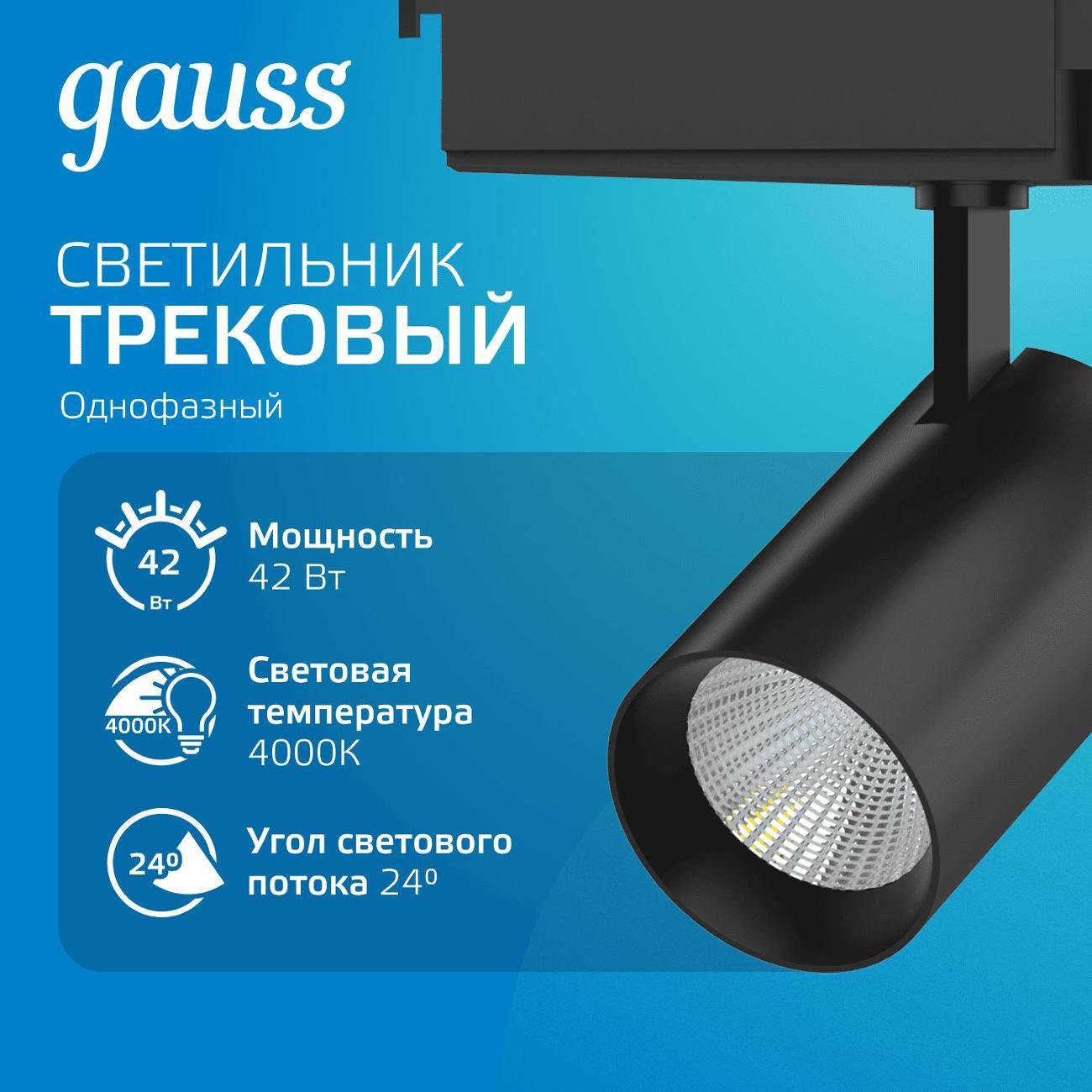 Трековый светильник Gauss TR074