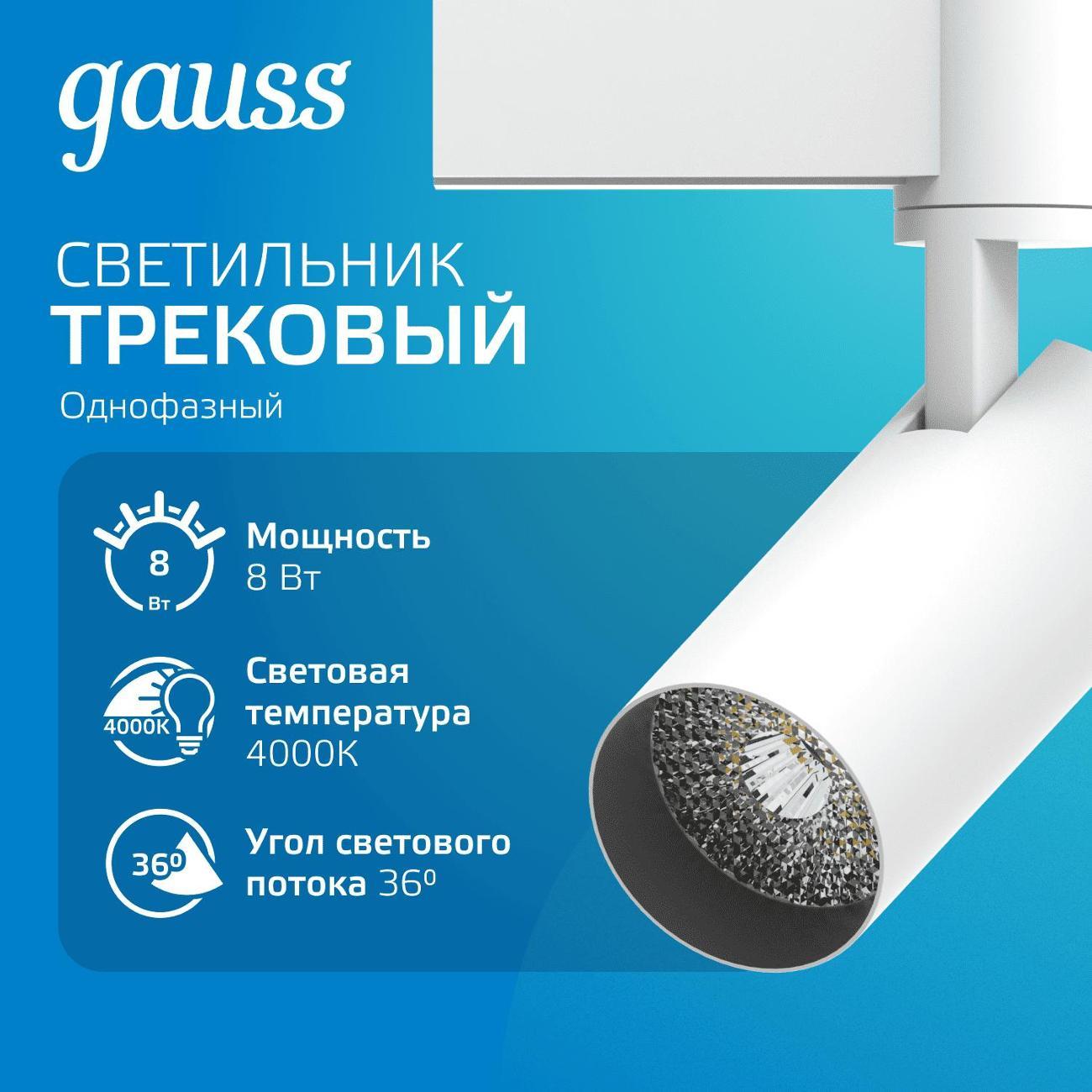 Трековый светильник Gauss TR077