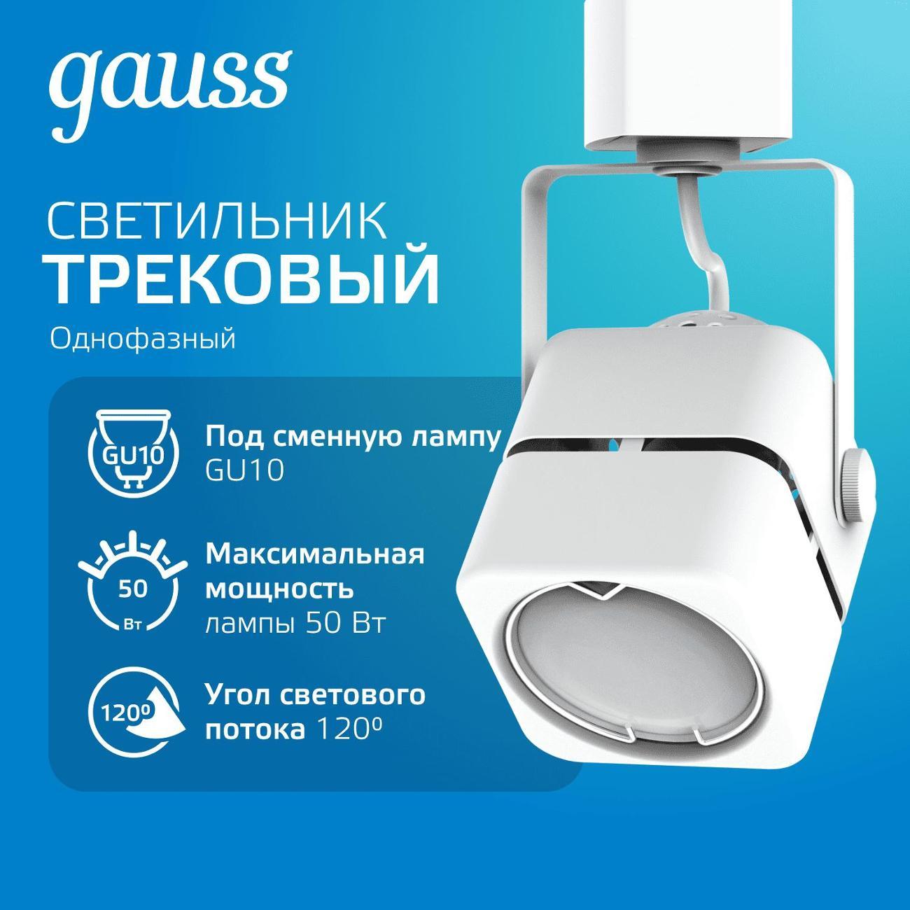 Трековый светильник Gauss TR010