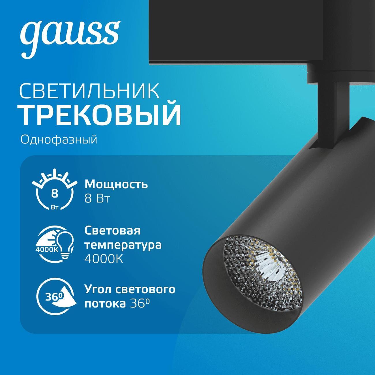 Трековый светильник Gauss TR078
