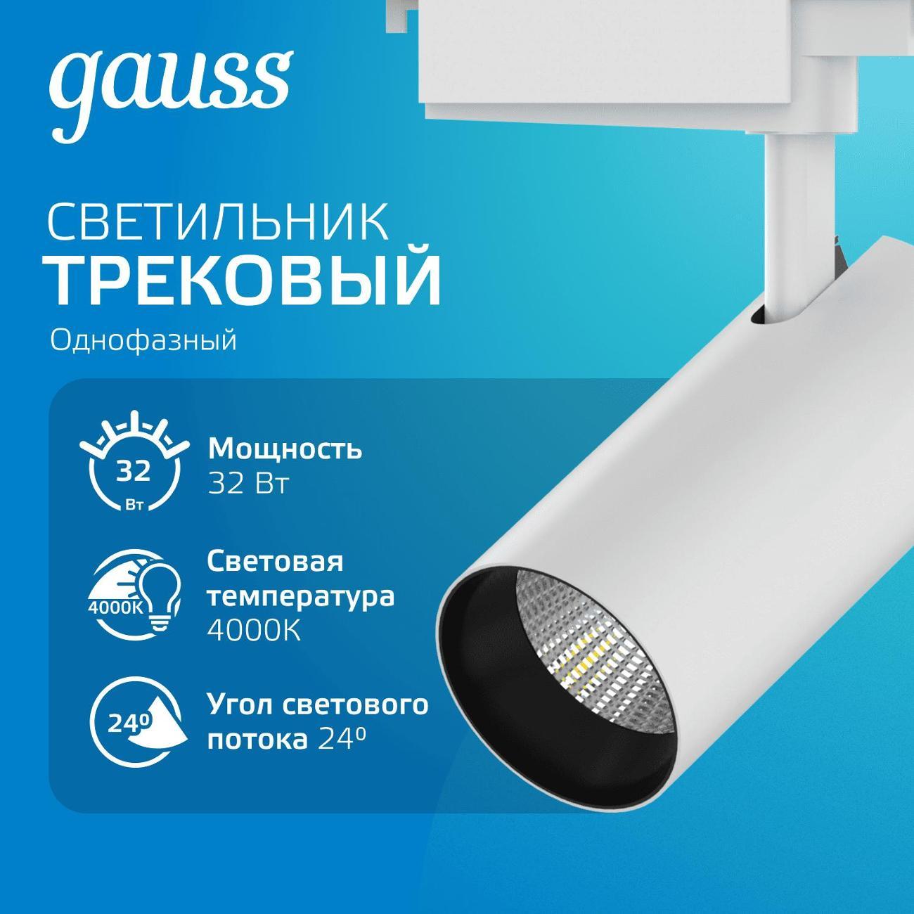 Трековый светильник Gauss TR072 фото