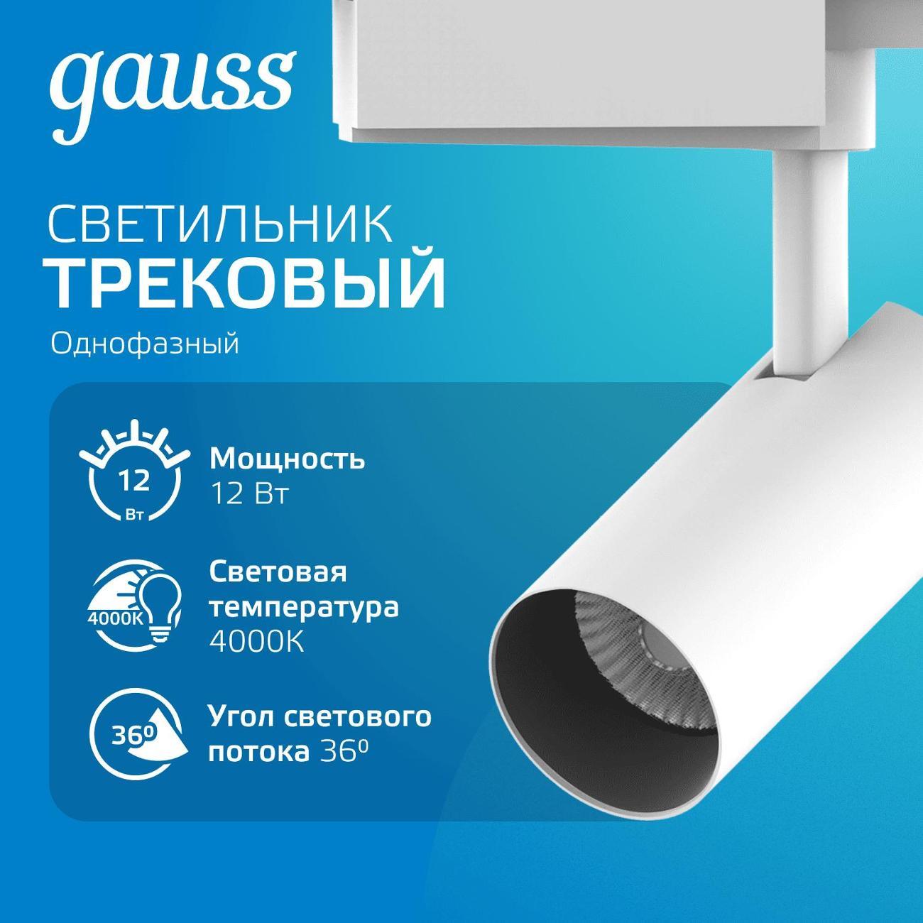 Трековый светильник Gauss TR079