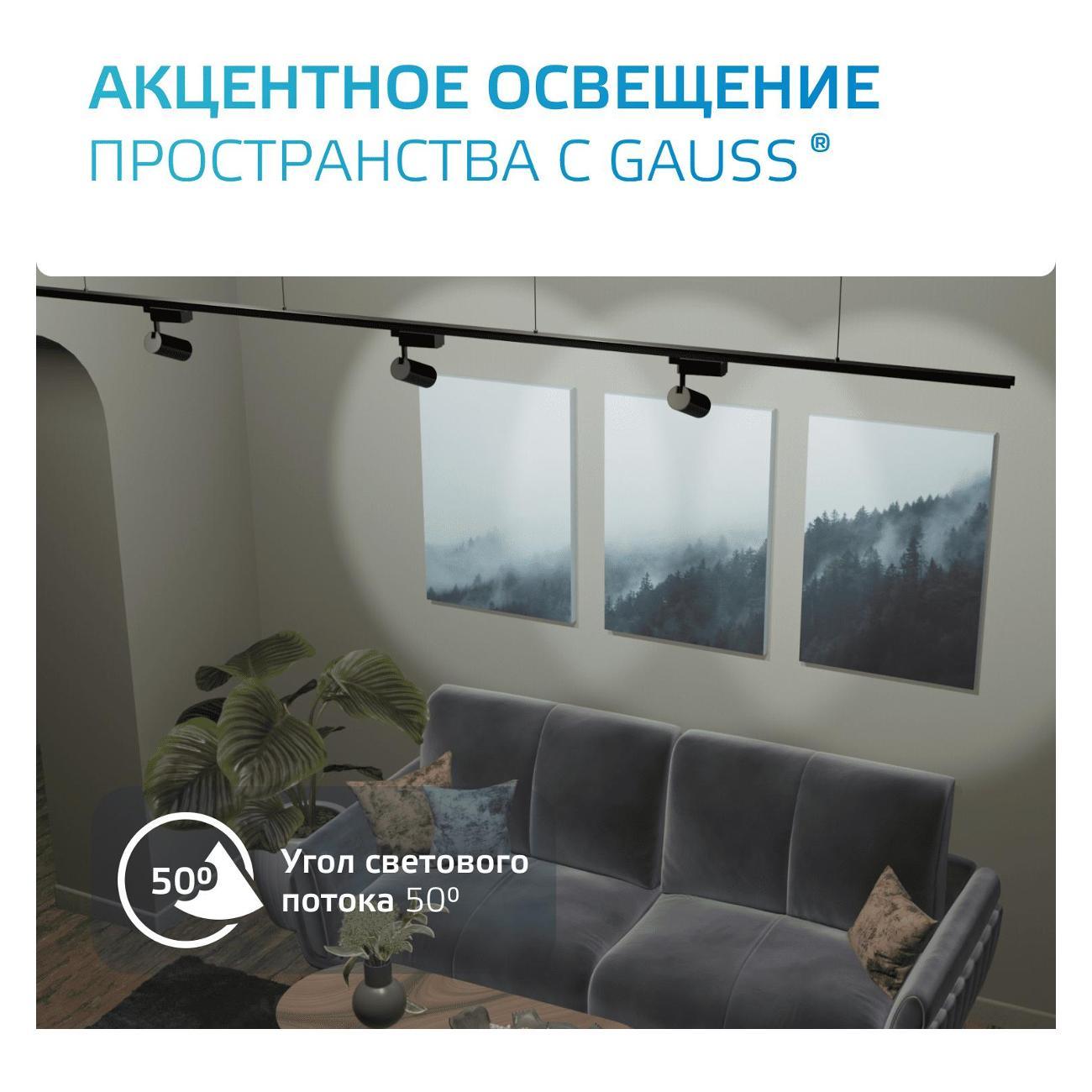 Трековый светильник Gauss TR090