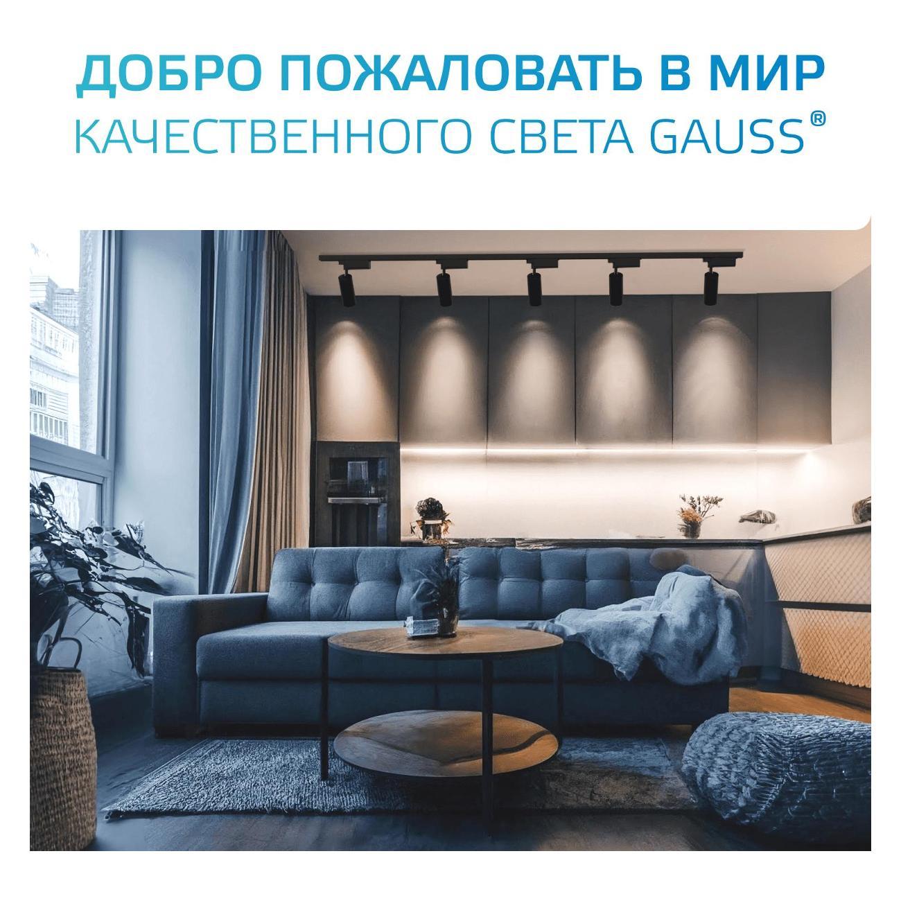 Трековый светильник Gauss TR090