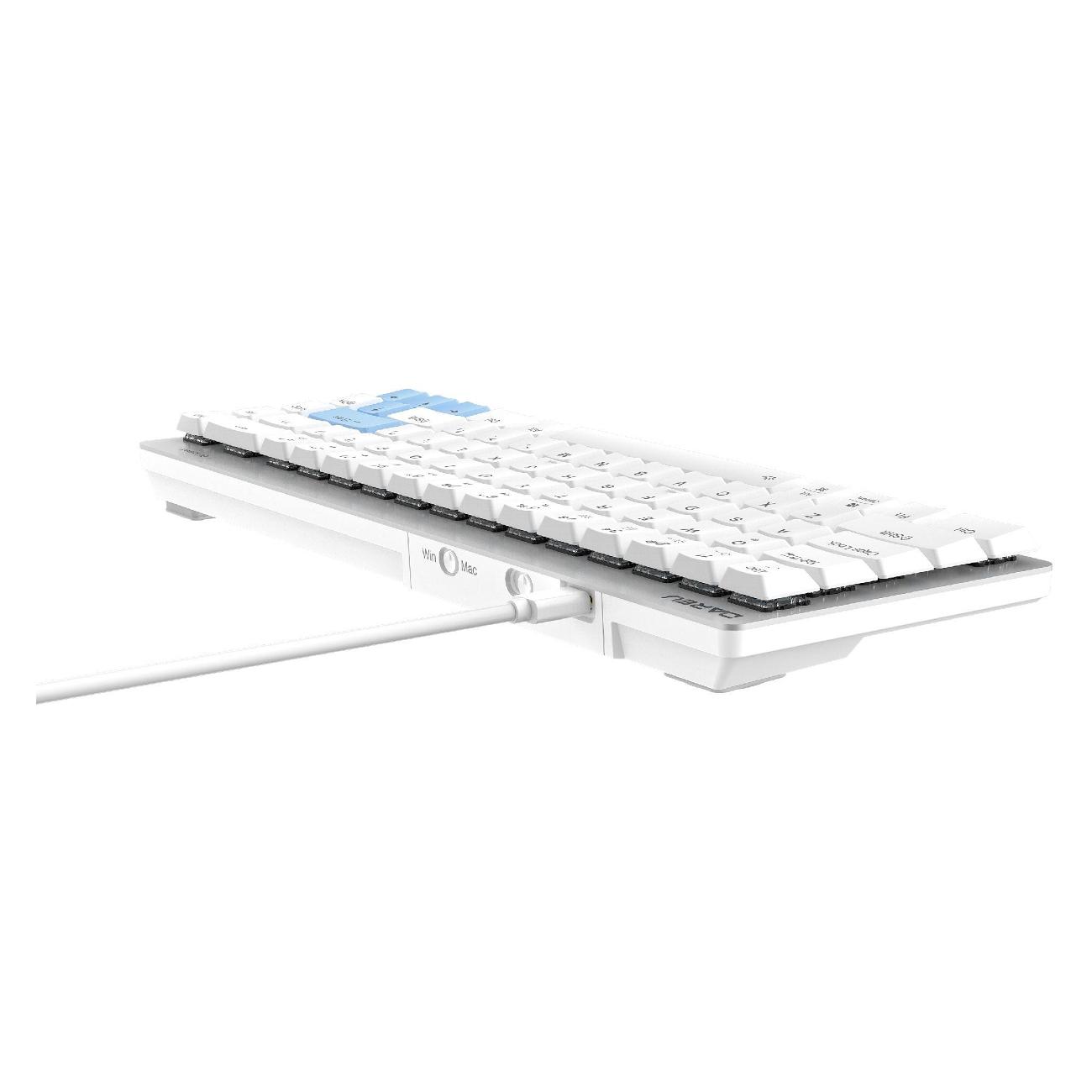 Игровая клавиатура Dareu EK868 White-Blue Brown sw (русская раскладка)