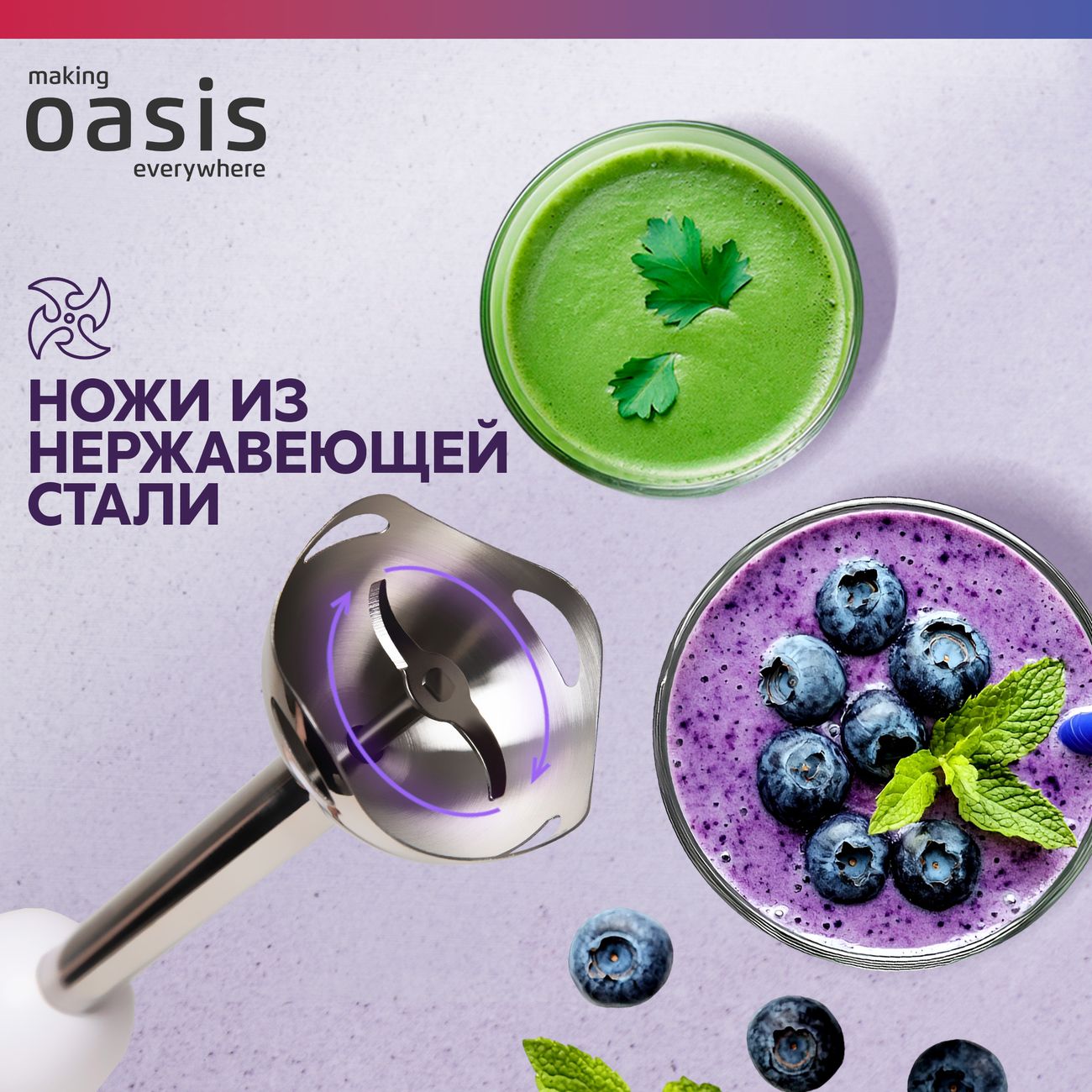 Погружной блендер Oasis BL-85W3