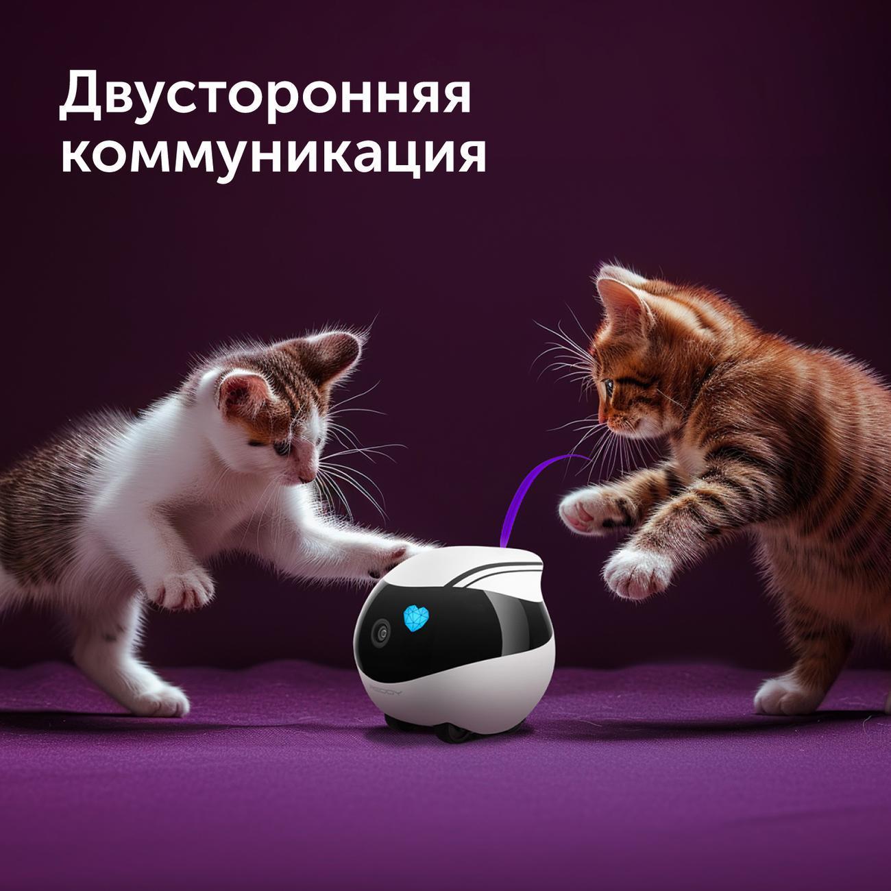 Умный гаджет RED SOLUTION AIR