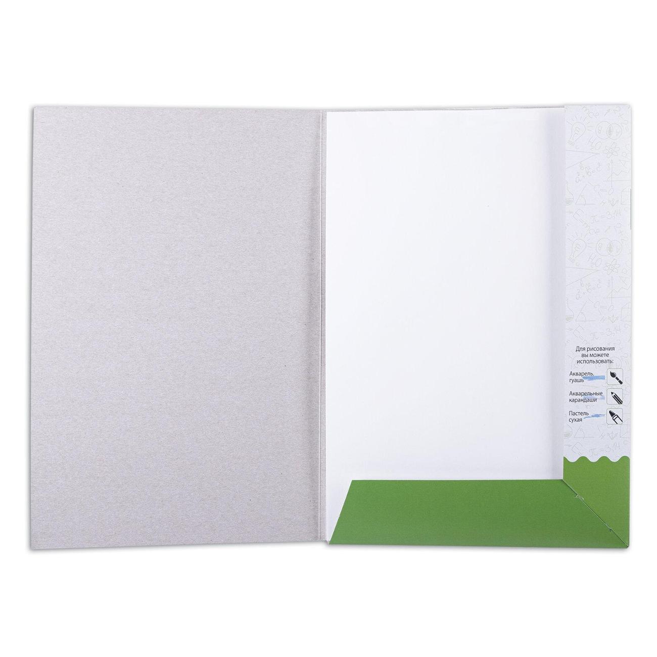 Папка Brauberg 114299 А3 20 л