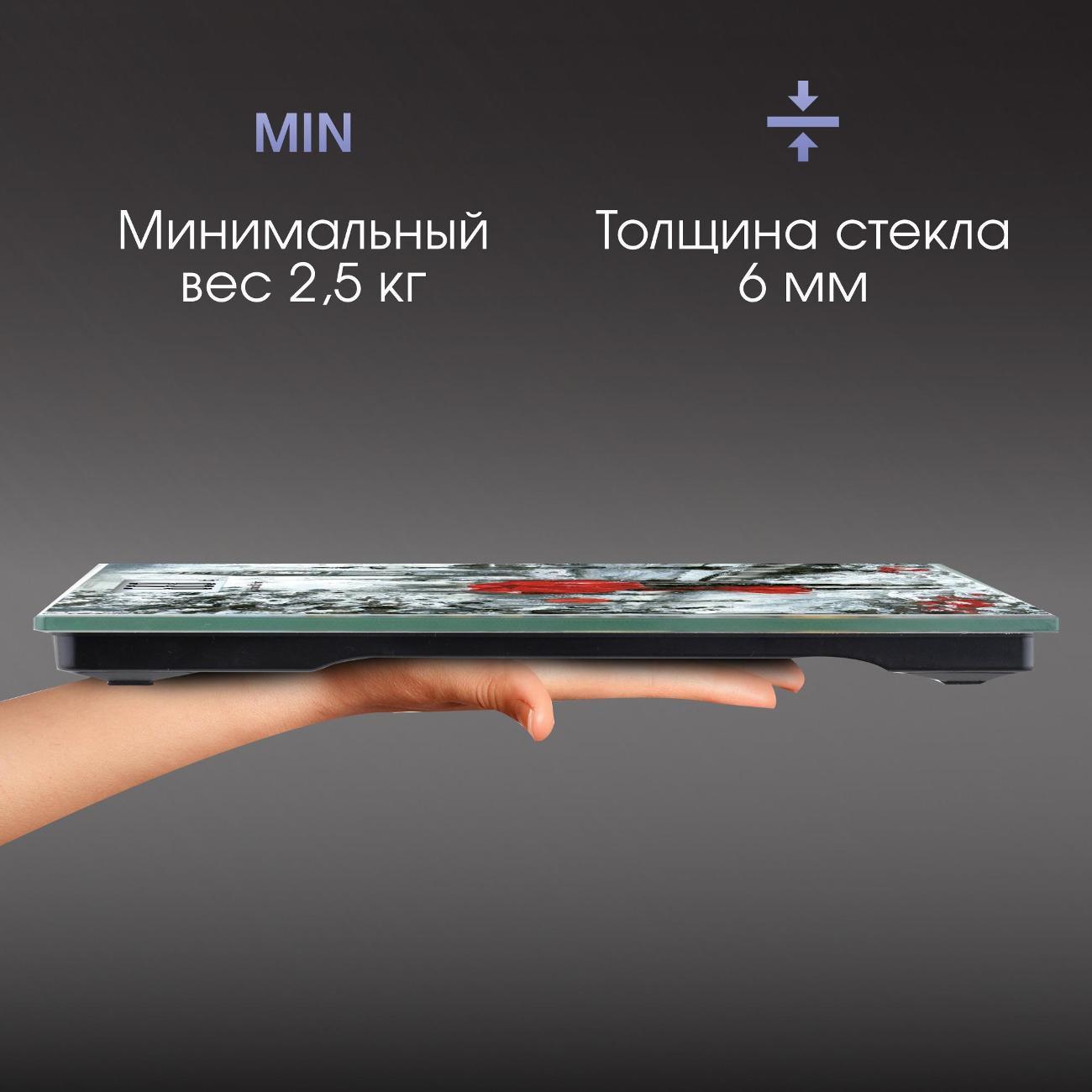 Весы напольные Zigmund & Shtain Health-Profi ZS-136