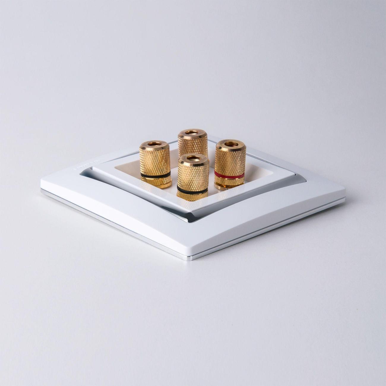 Розетка Werkel W1185001