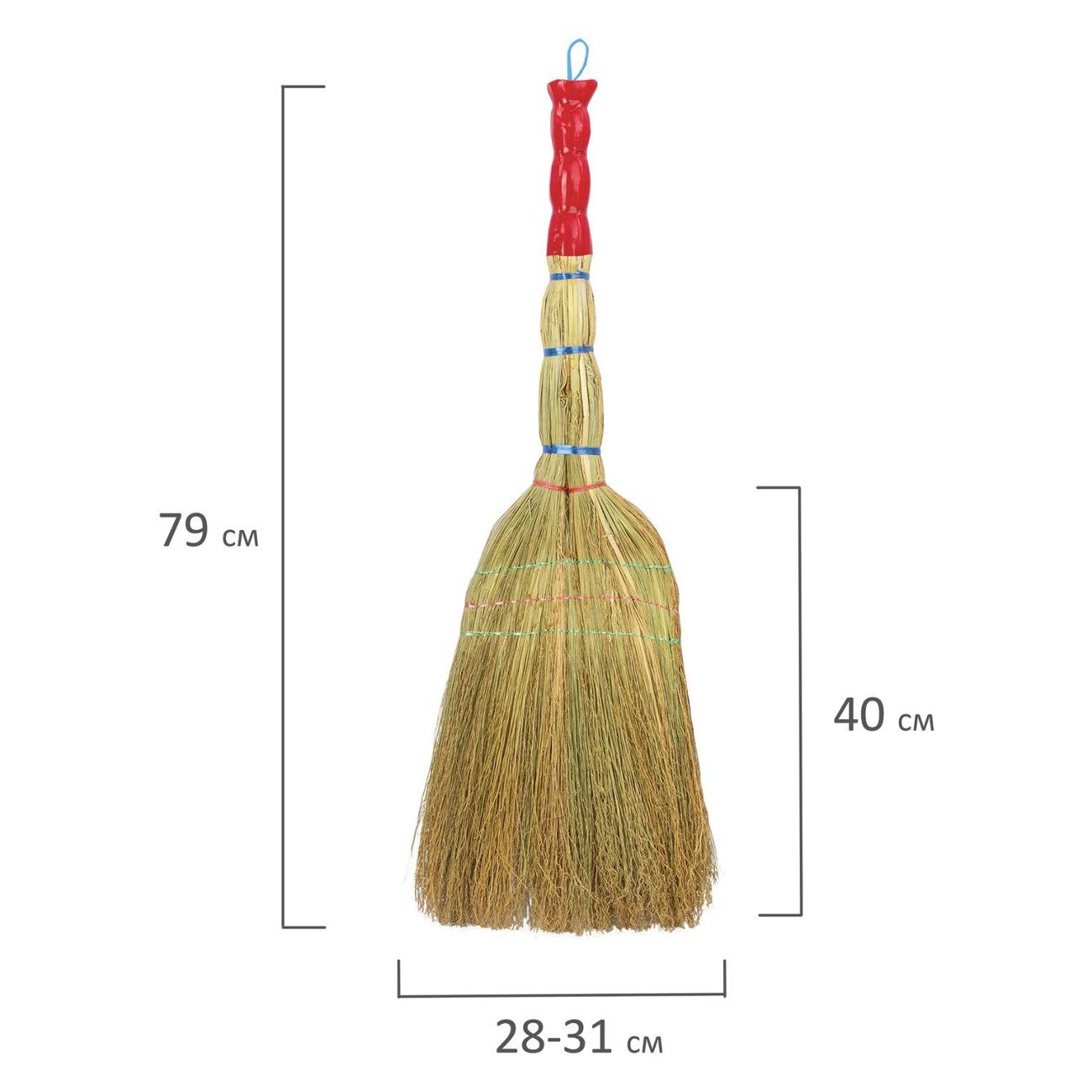 Веник Laima 604229