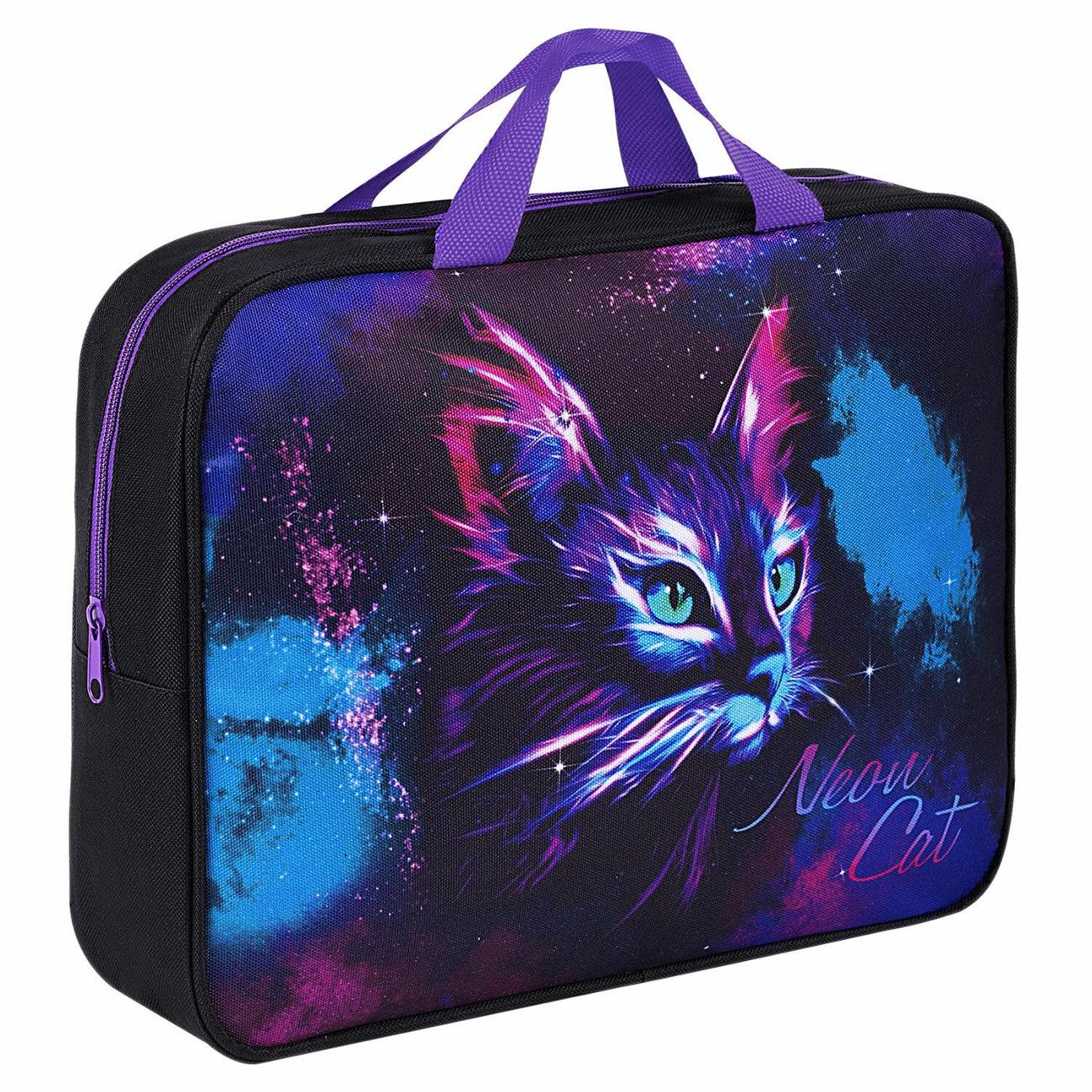 Папка для тетрадей Brauberg 271482 A4 фото