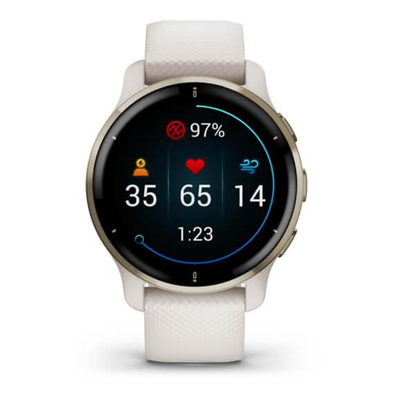 Смарт-часы Garmin Venu 2 Plus 010-02496-02