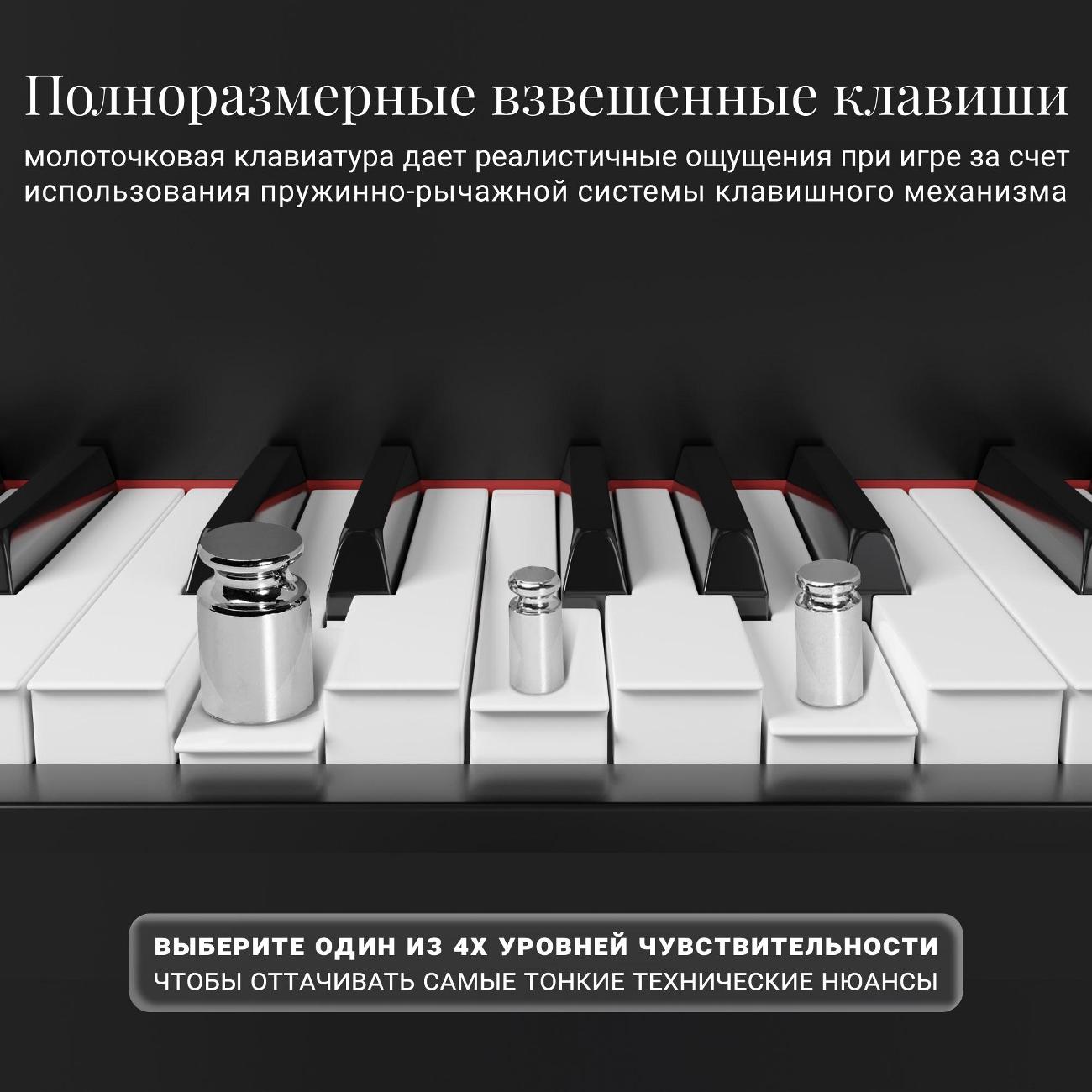 Цифровое пианино Tesler STZ-8810