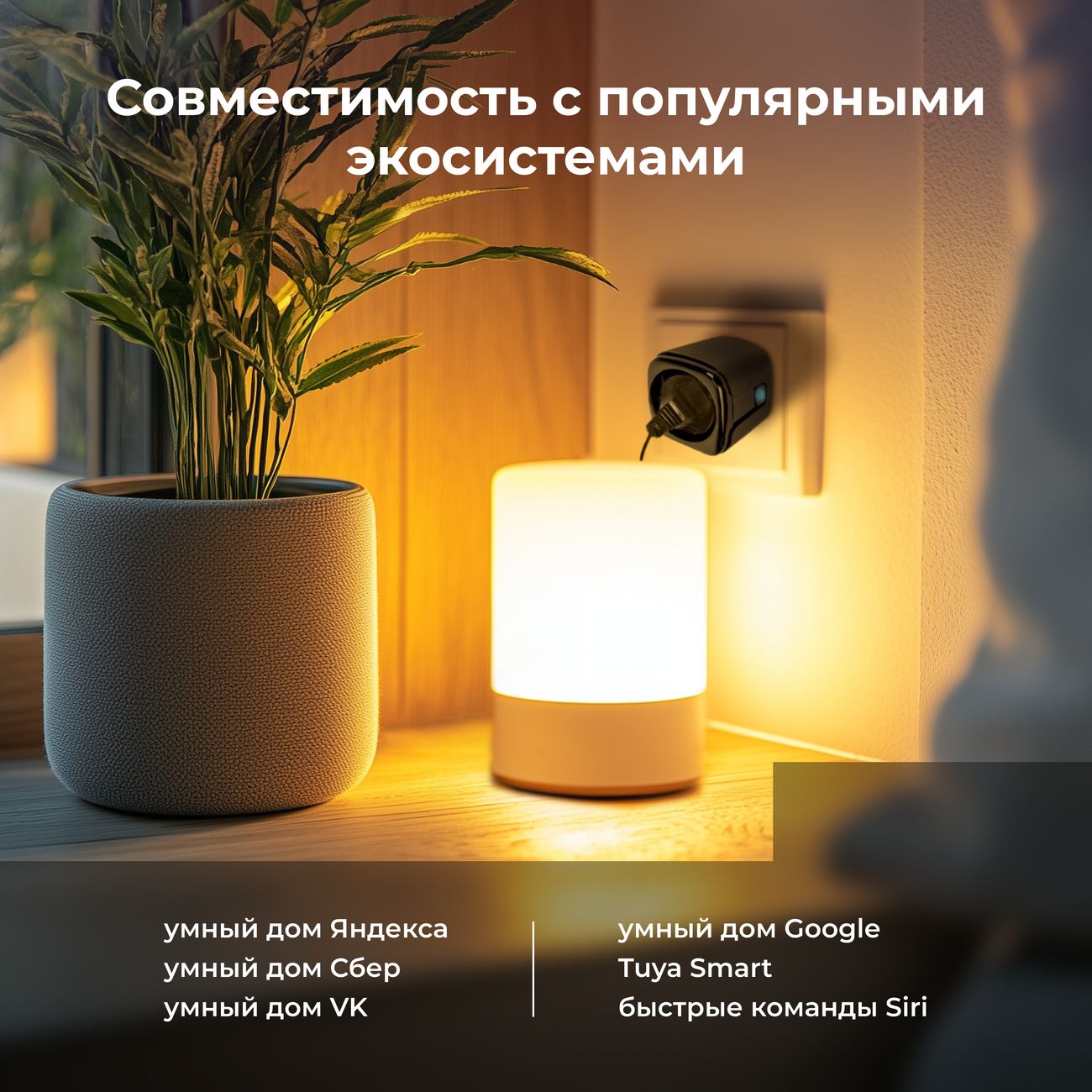 Умная розетка HIPER IOT PL03 Black