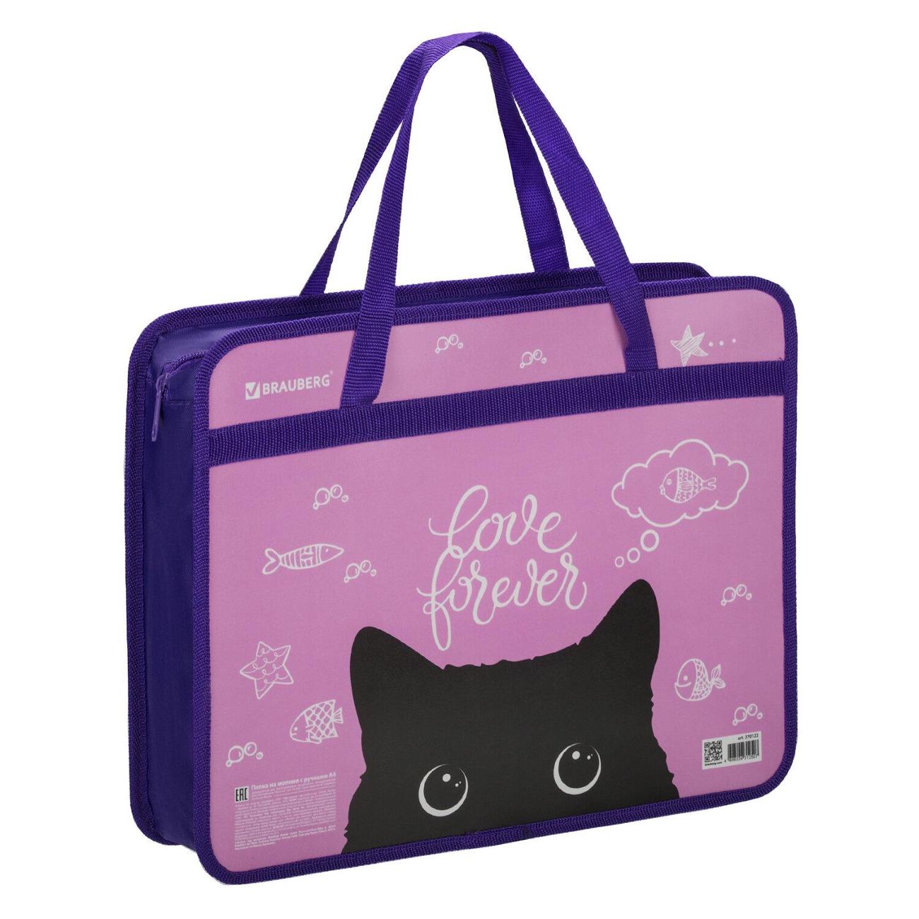 Папка Brauberg 270122 фото