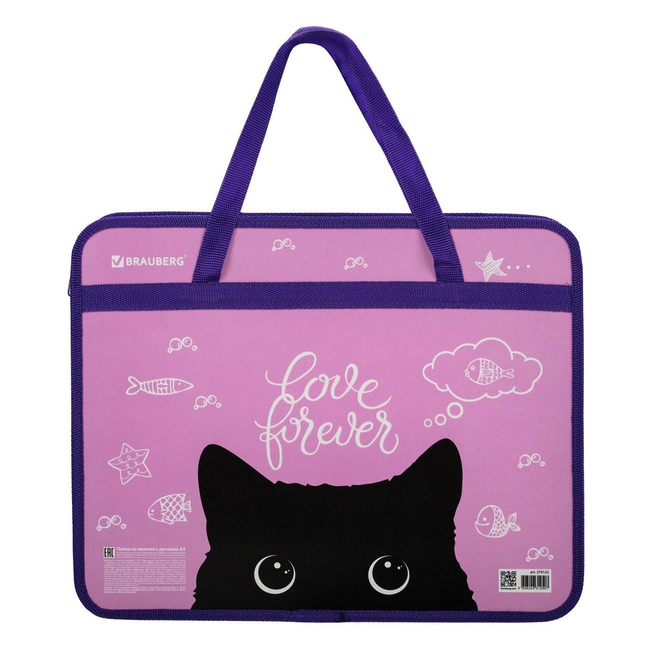 Папка Brauberg 270122