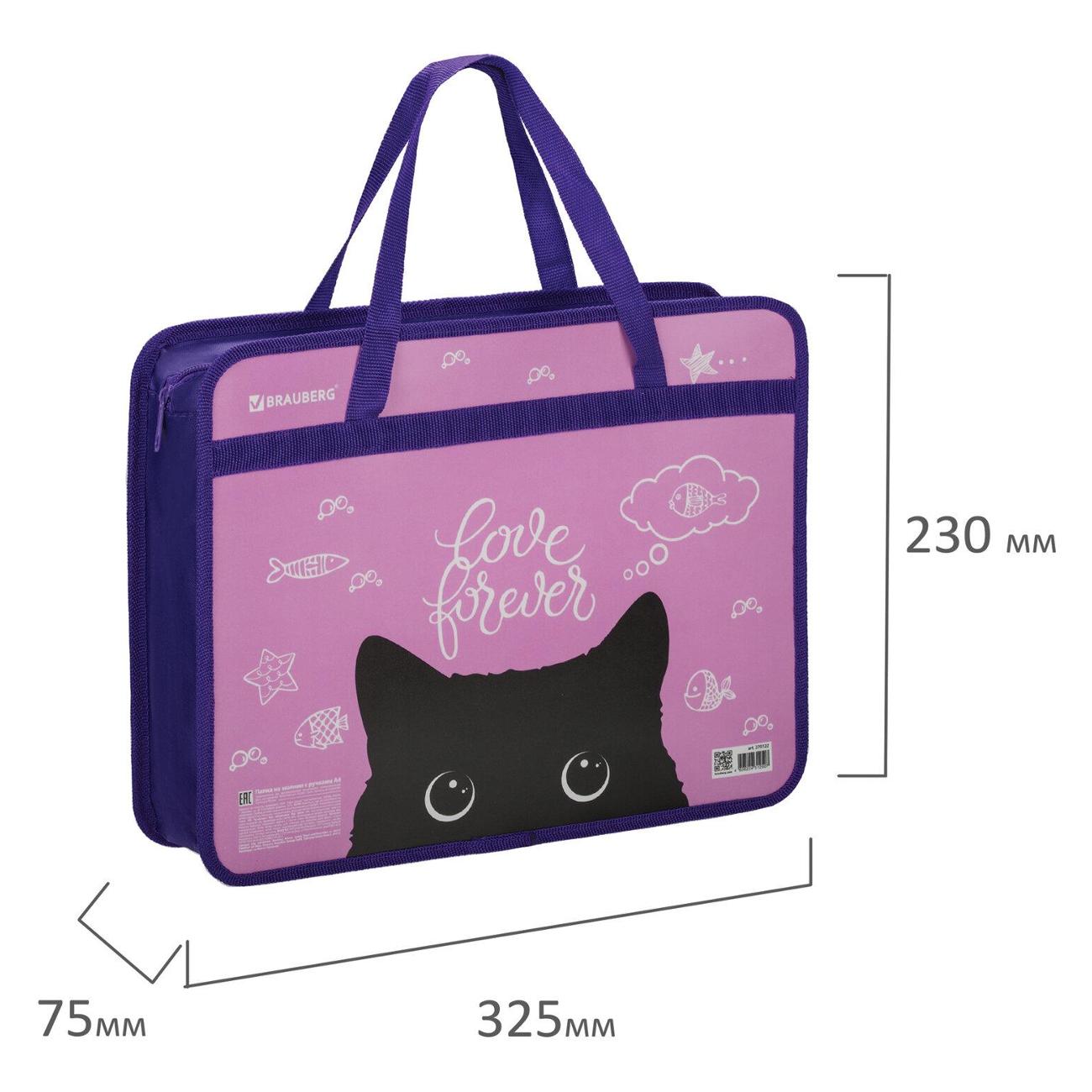 Папка Brauberg 270122