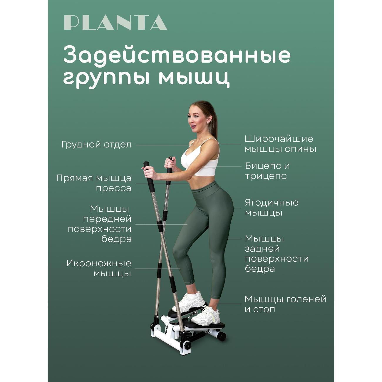Степпер Planta FD-STEP-005