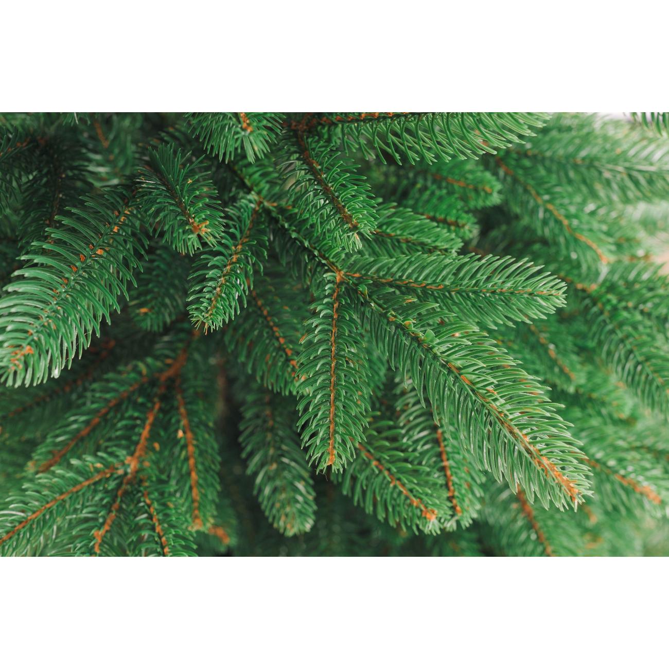 Ель Бифорес Лиана Микс 130 см