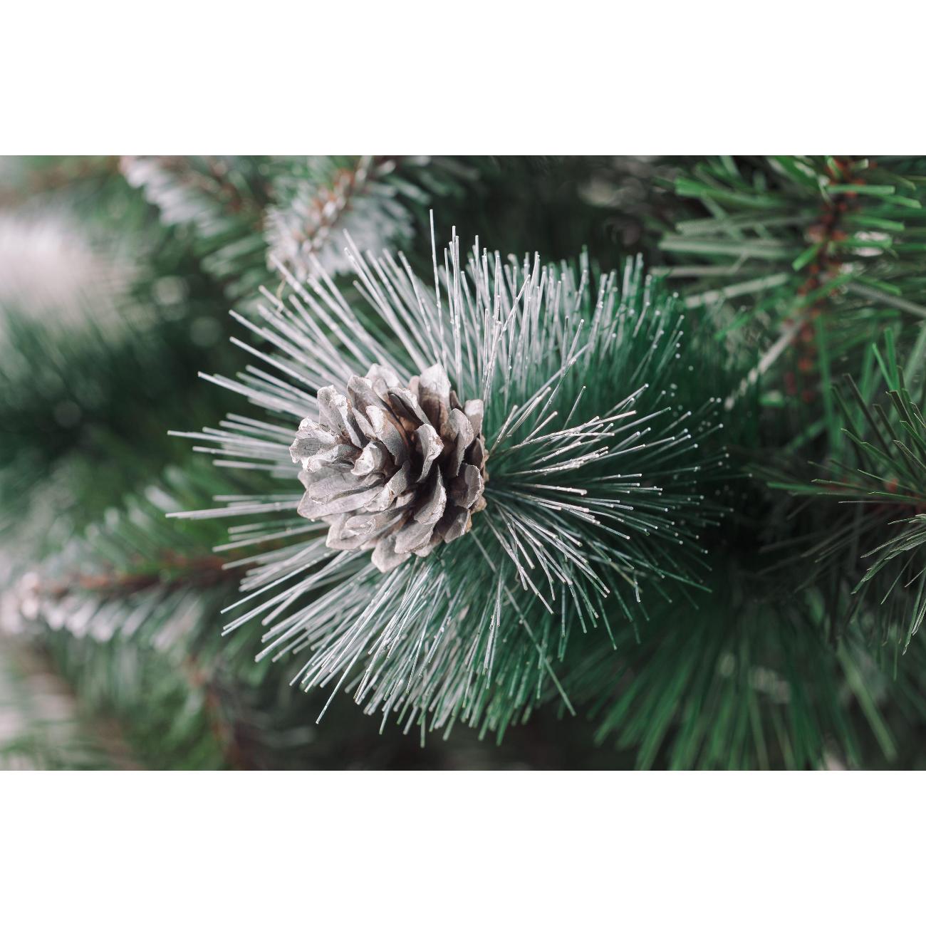 Ель Бифорес Люкс 160 см