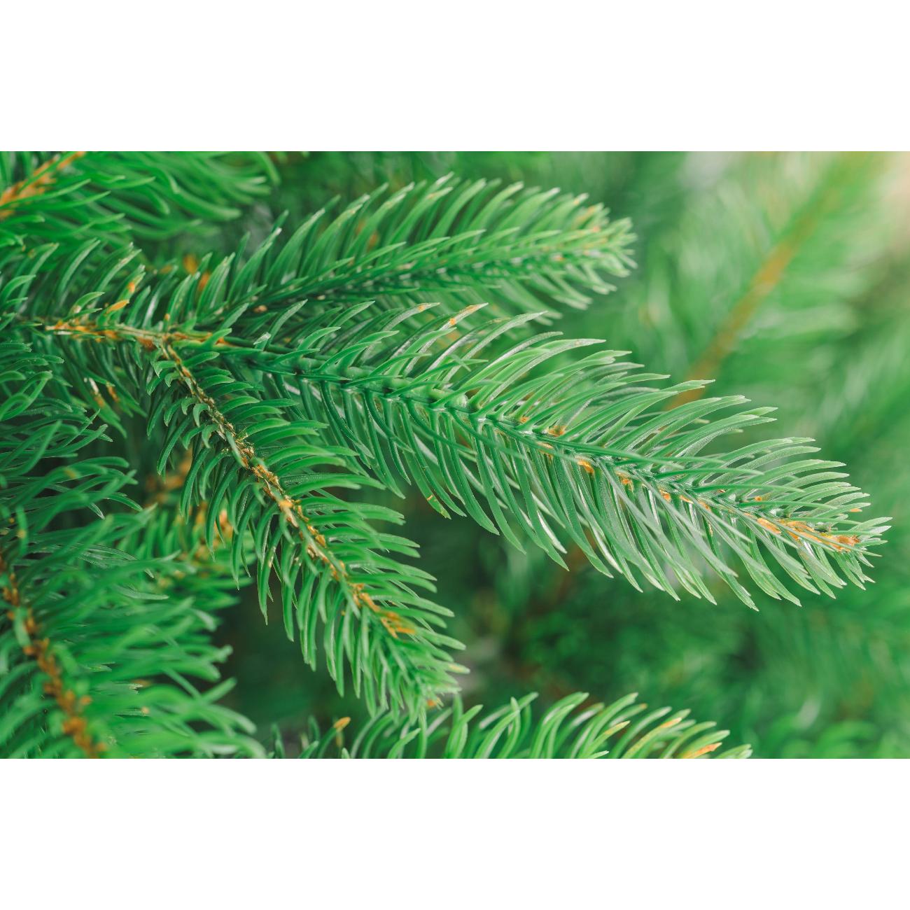 Ель искусственная Бифорес Эмилия Микс Светлая 195 см