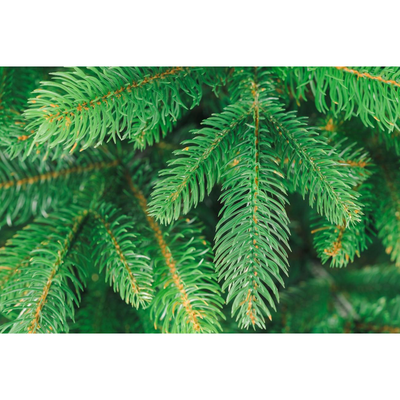 Ель искусственная Бифорес Эмилия Микс Светлая 195 см