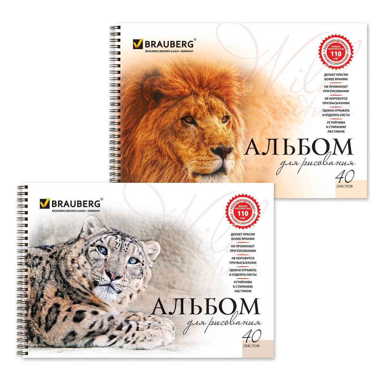 Альбом для рисования Brauberg 880028 фото