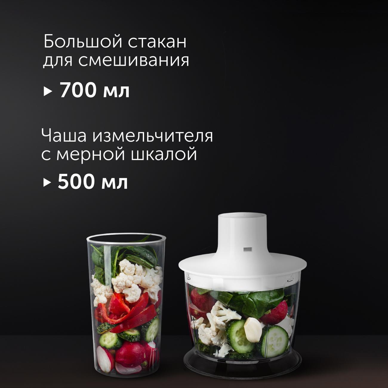 Погружной блендер RED SOLUTION RHB-2969