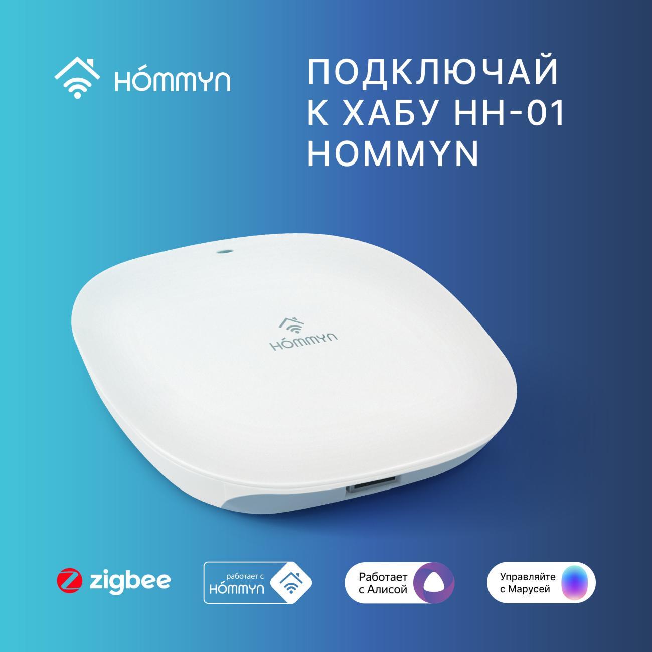 Умная розетка Hommyn RKNZ01