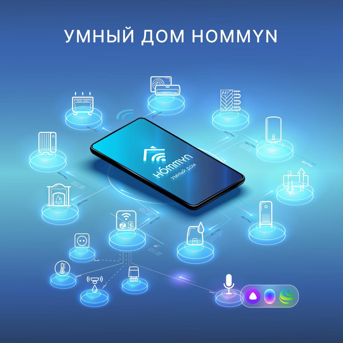 Умная розетка Hommyn RKNZ01