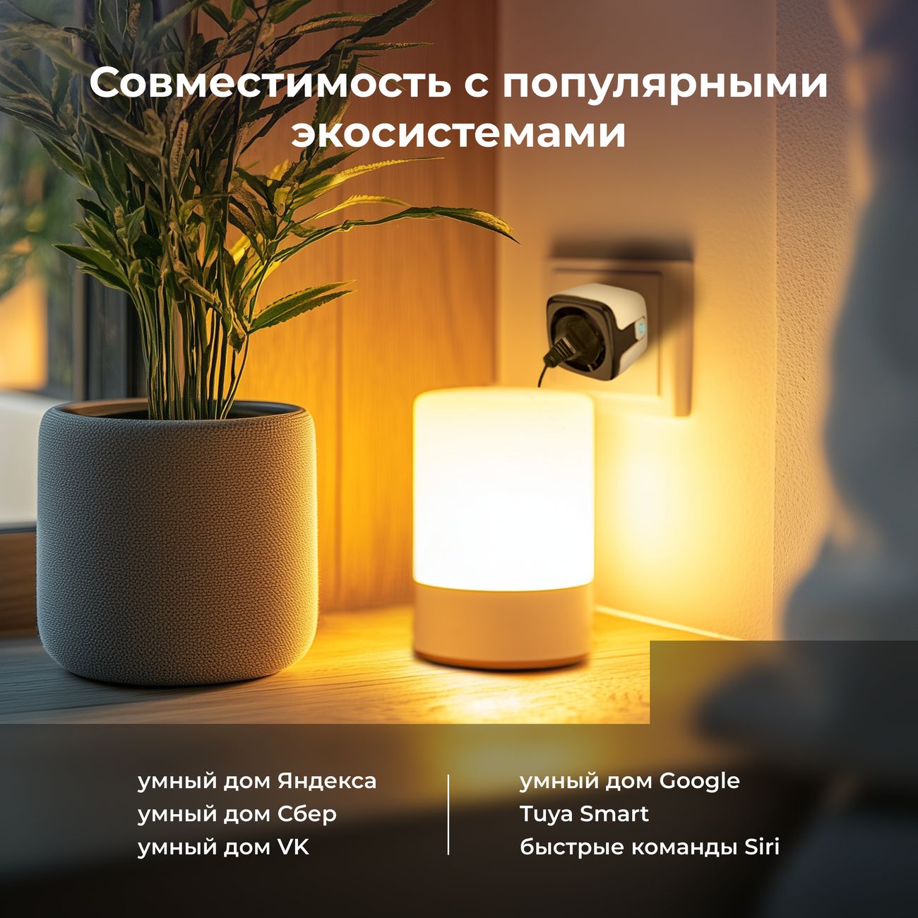 Умная розетка HIPER IoT PM01