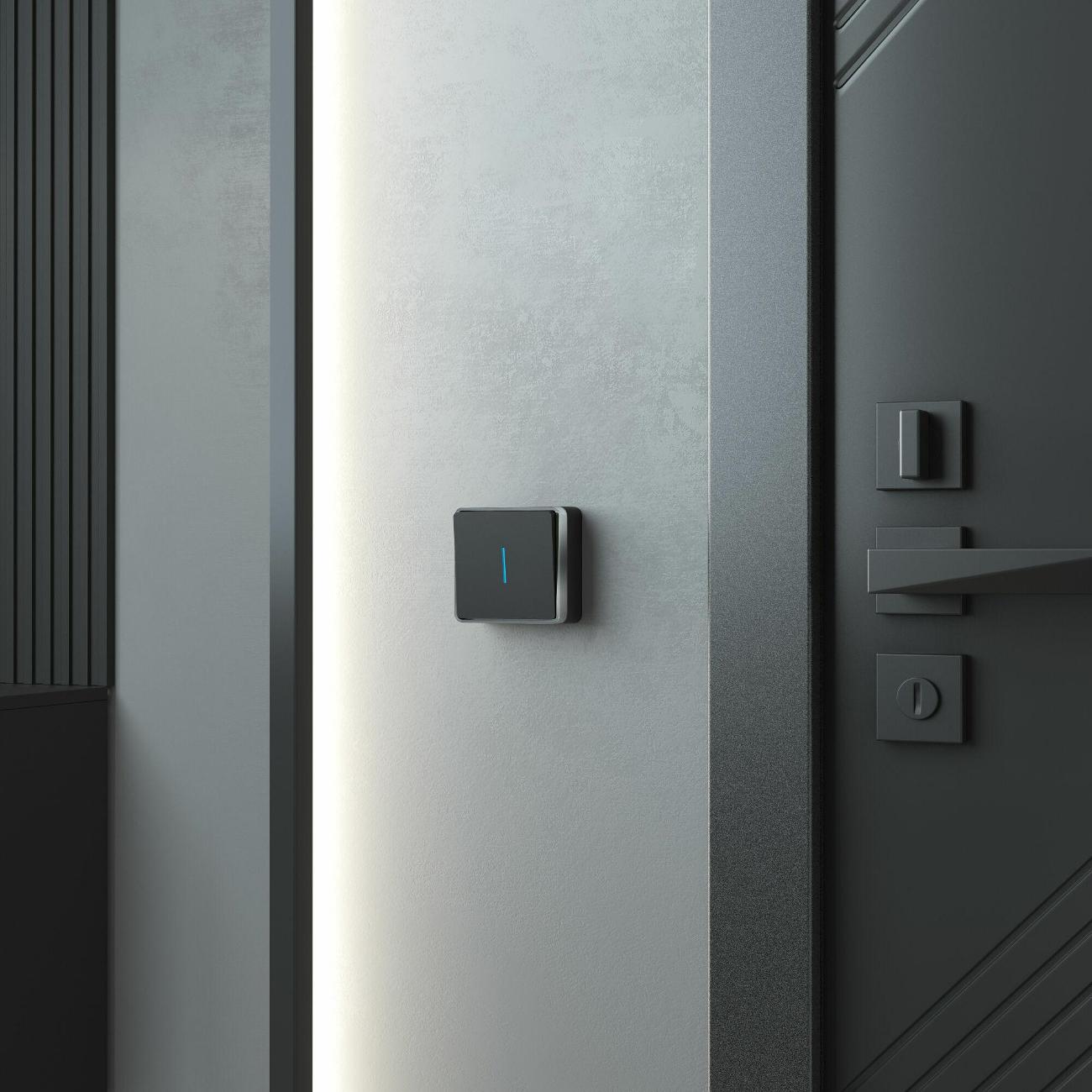 Выключатель Werkel W5010135 Gallant