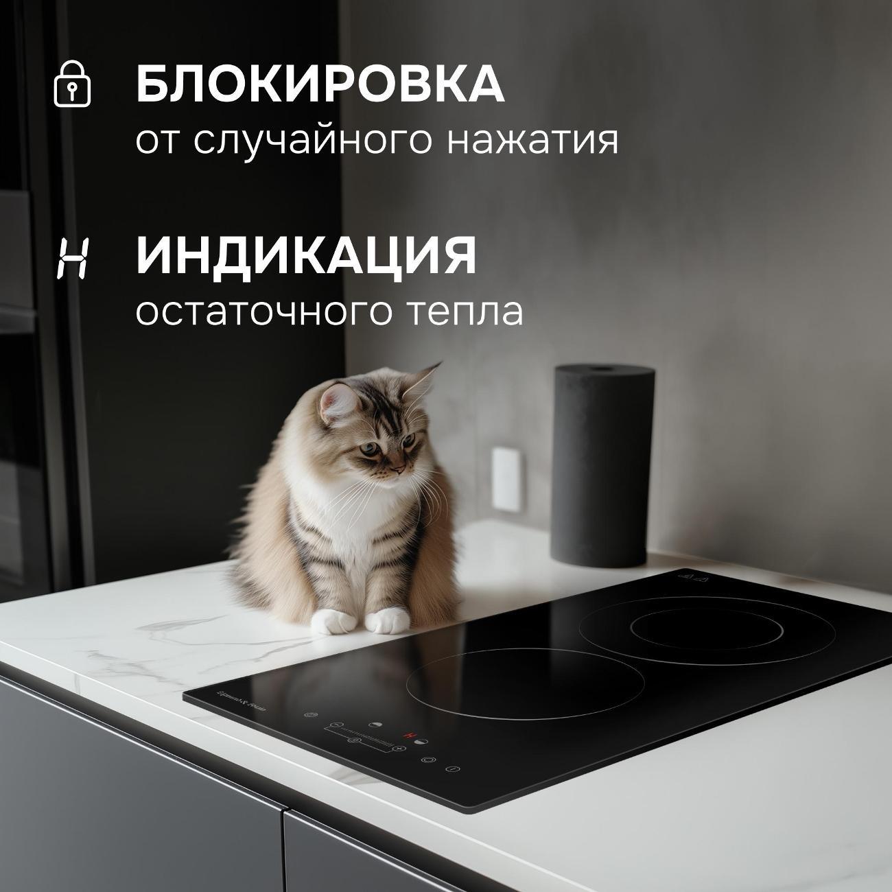 Встраив. модульная эл. панель Zigmund & Shtain CN42.3 B черная