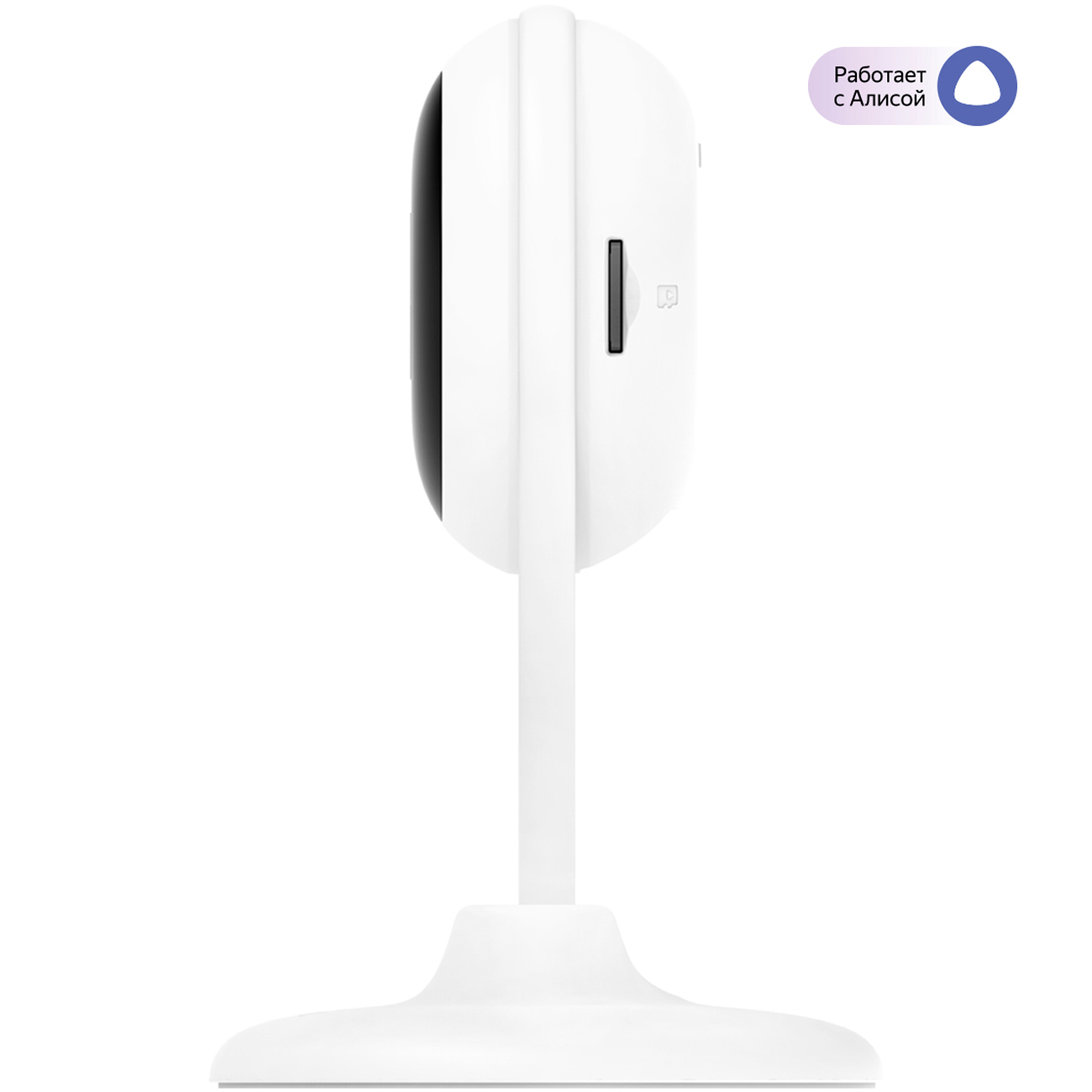 IP-камера Botslab C201