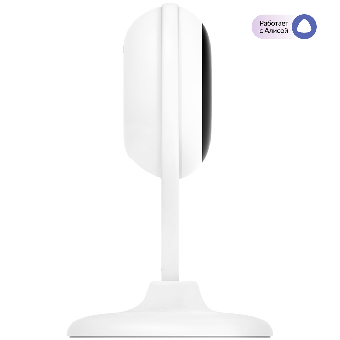 IP-камера Botslab C201