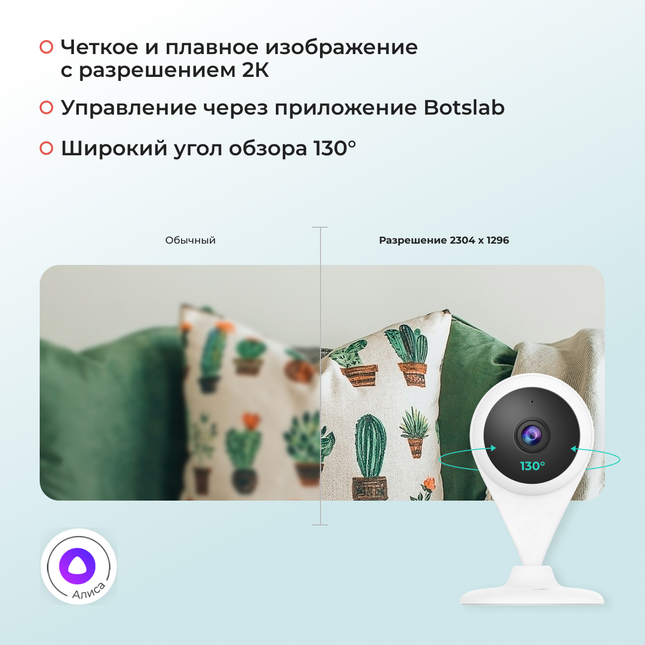 IP-камера Botslab C201