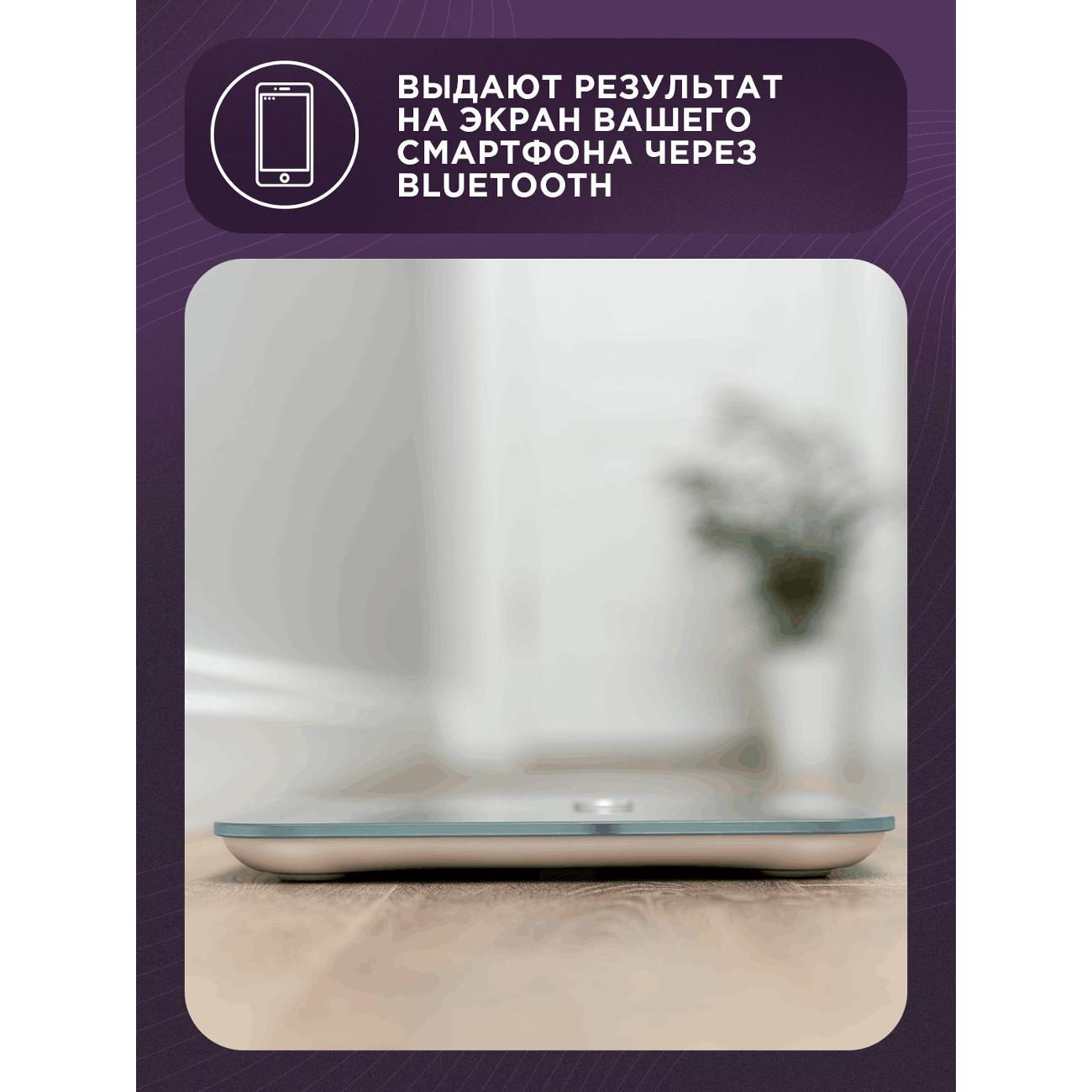 Умные весы SECRETDATE SD-IT02CG