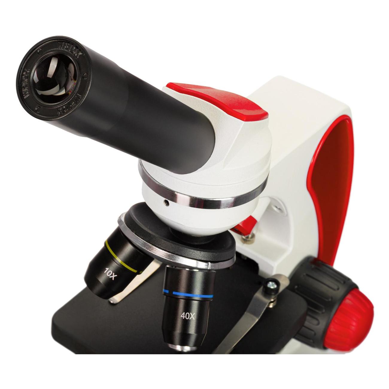 Микроскоп Discovery Pico Terra 77974