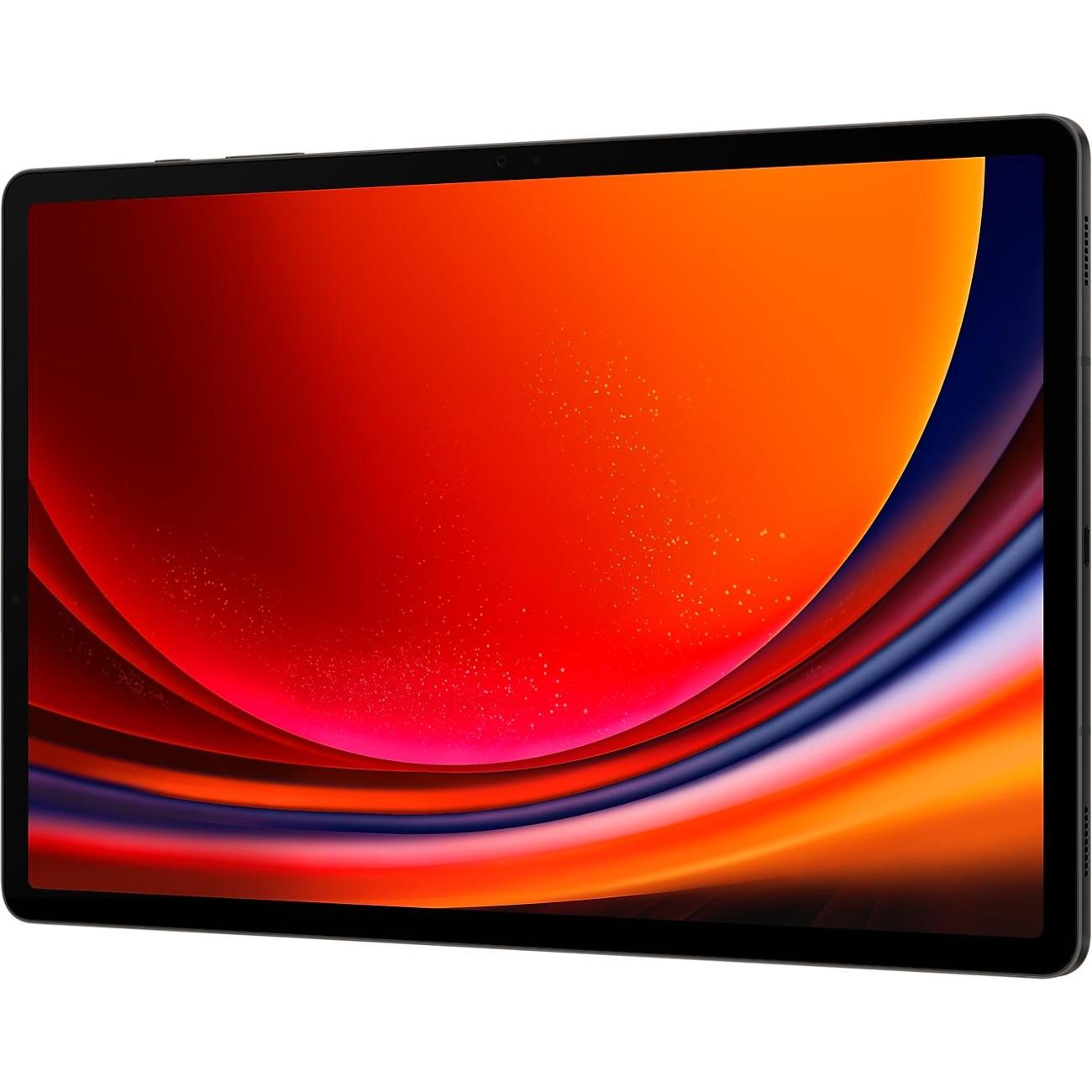 Планшет Samsung Galaxy Tab S9+ 12/256GB LTE графитовый