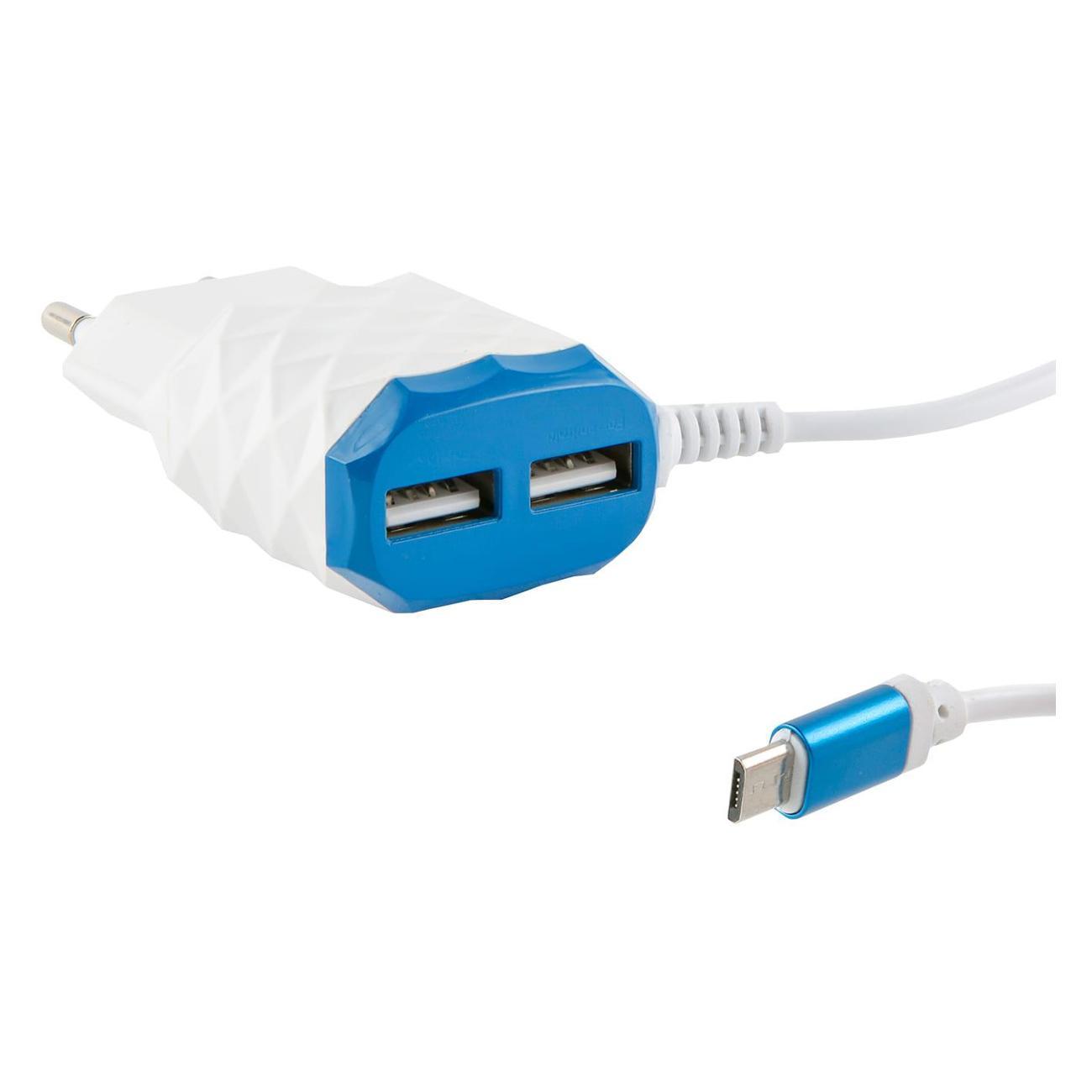 Сетевое зарядное устройство Red Line NC-2.1AC(B) White синий фото